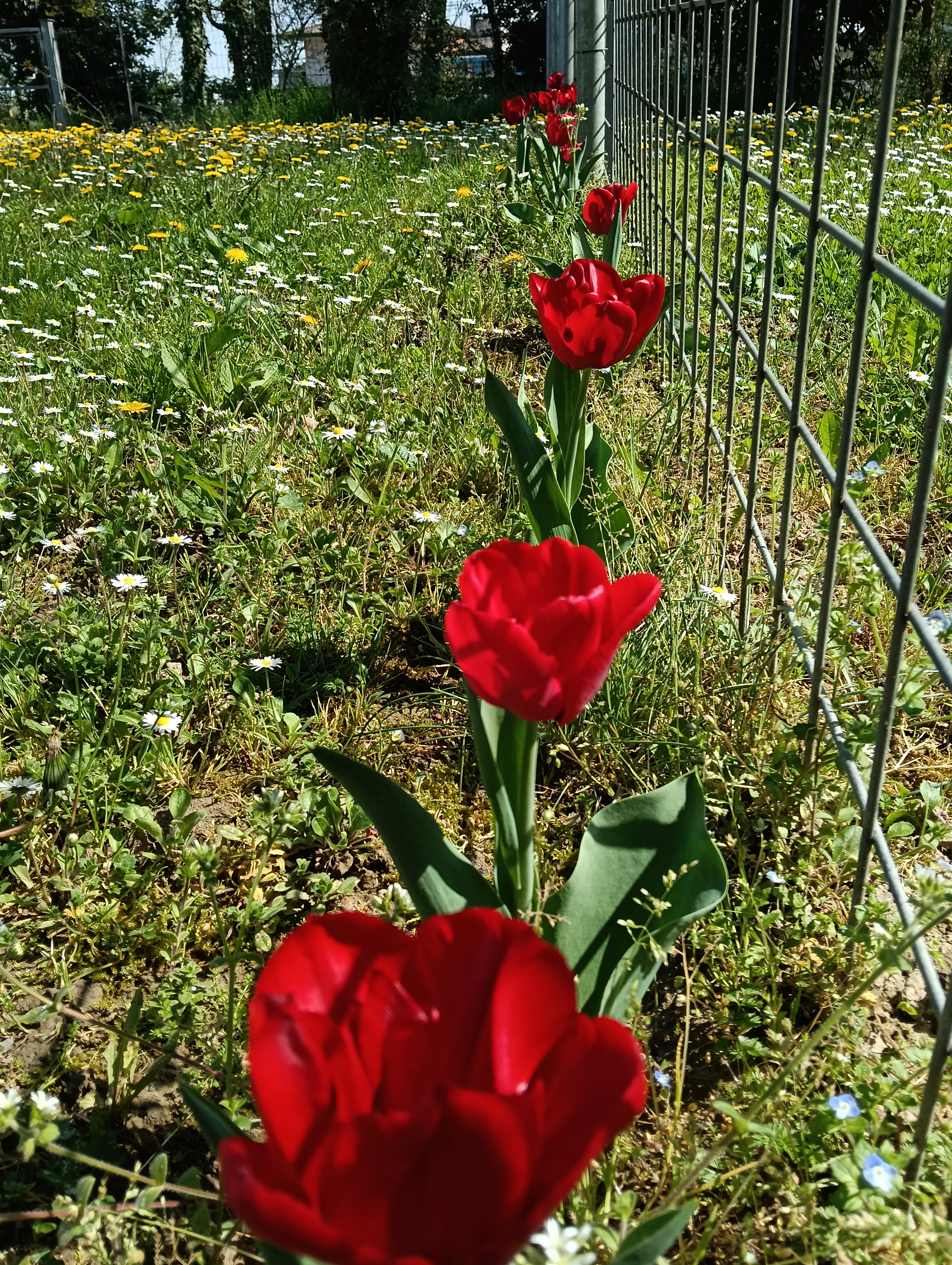 image-22