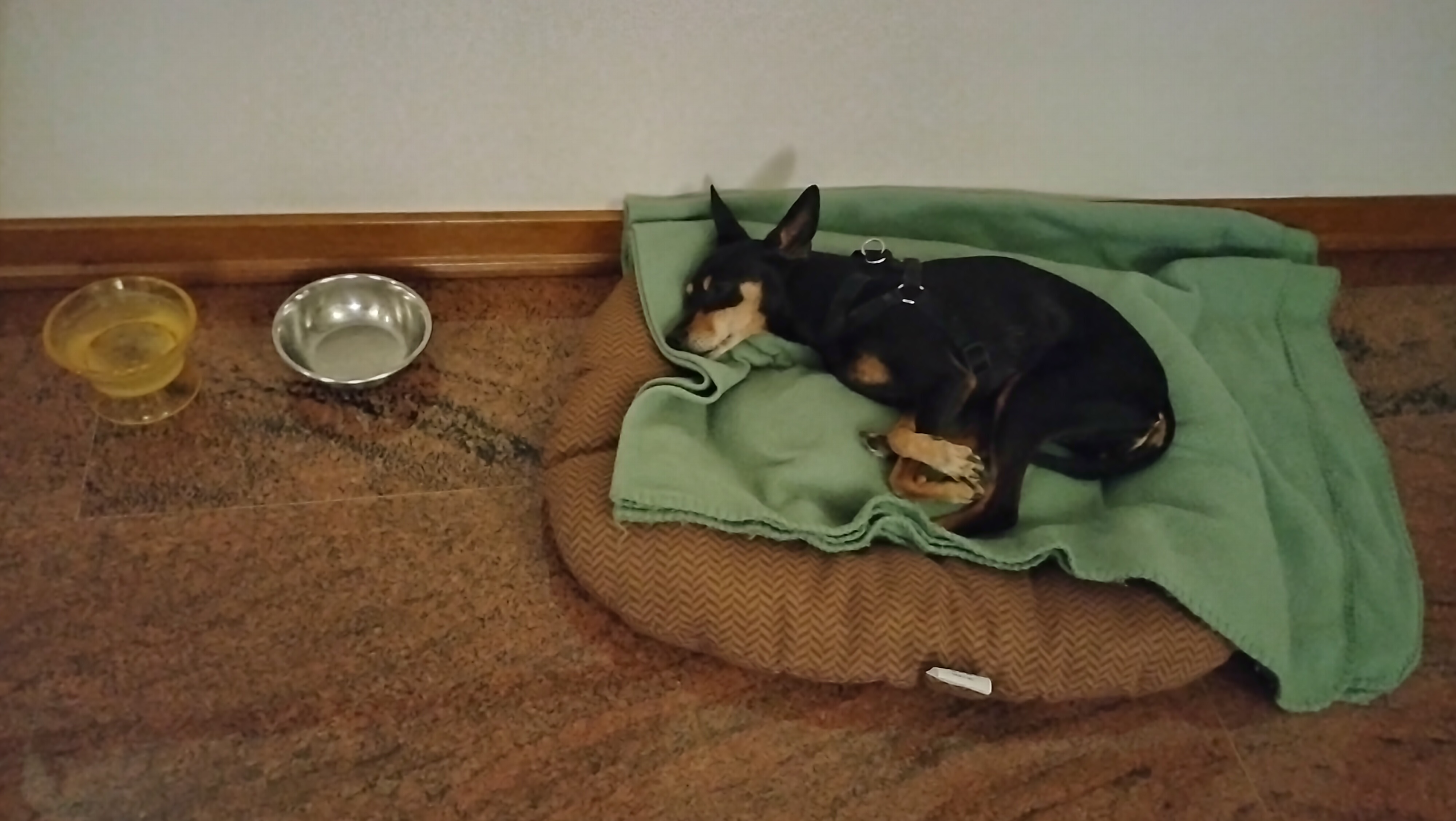 image-16