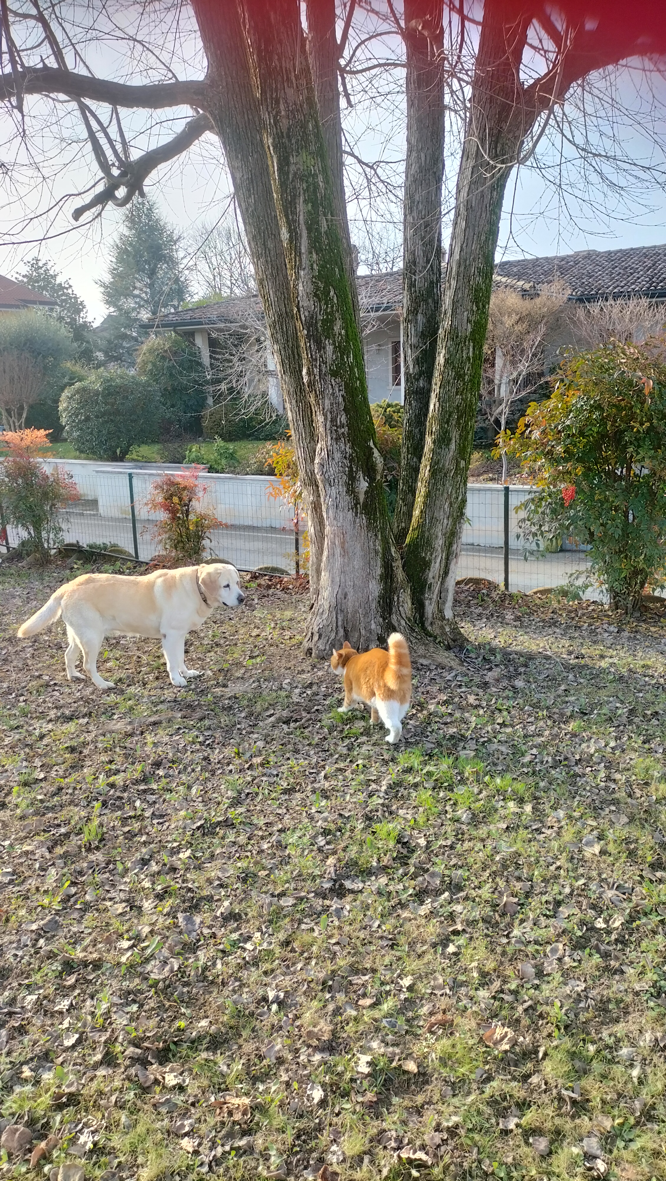image-6