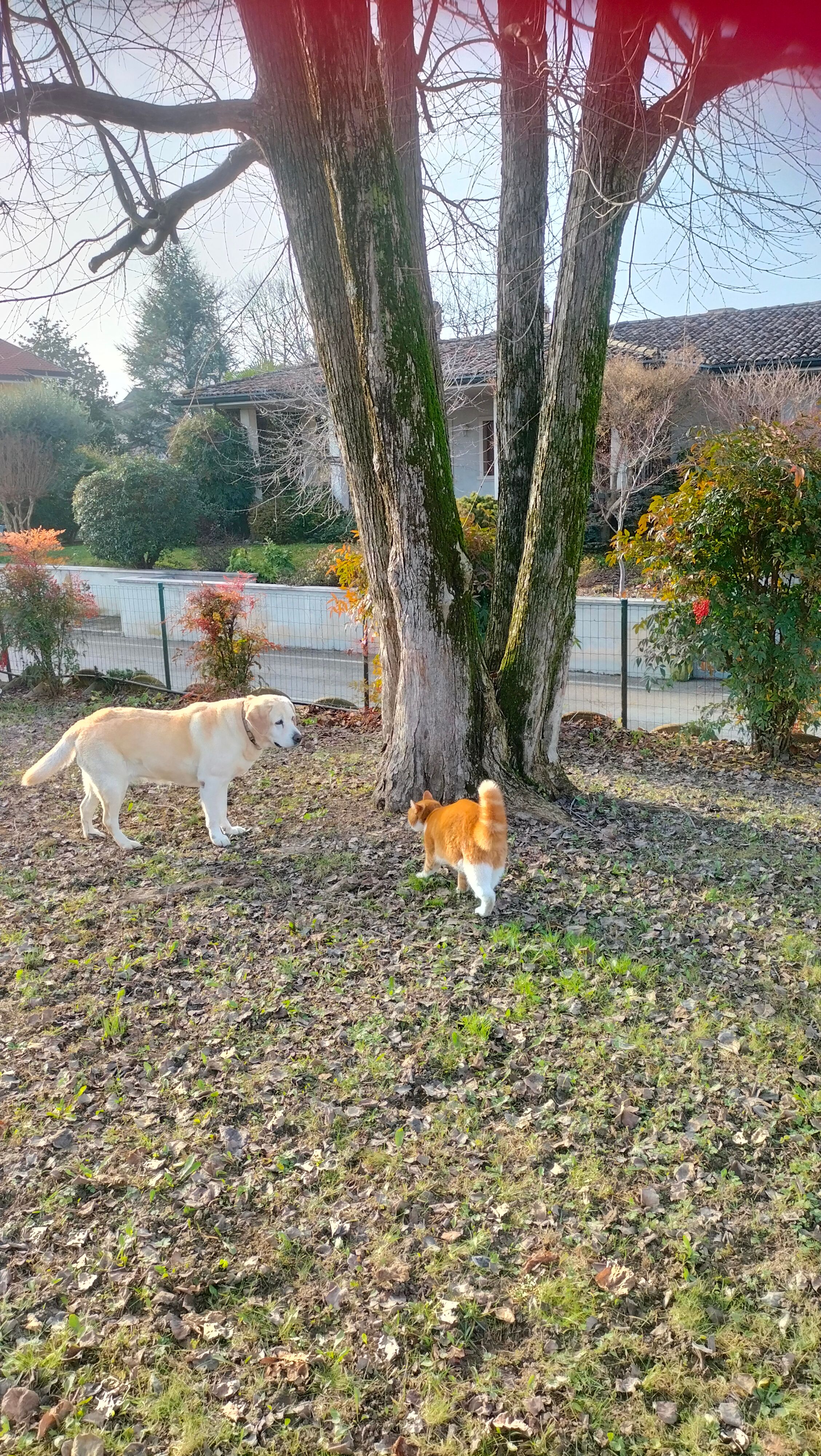 image-6