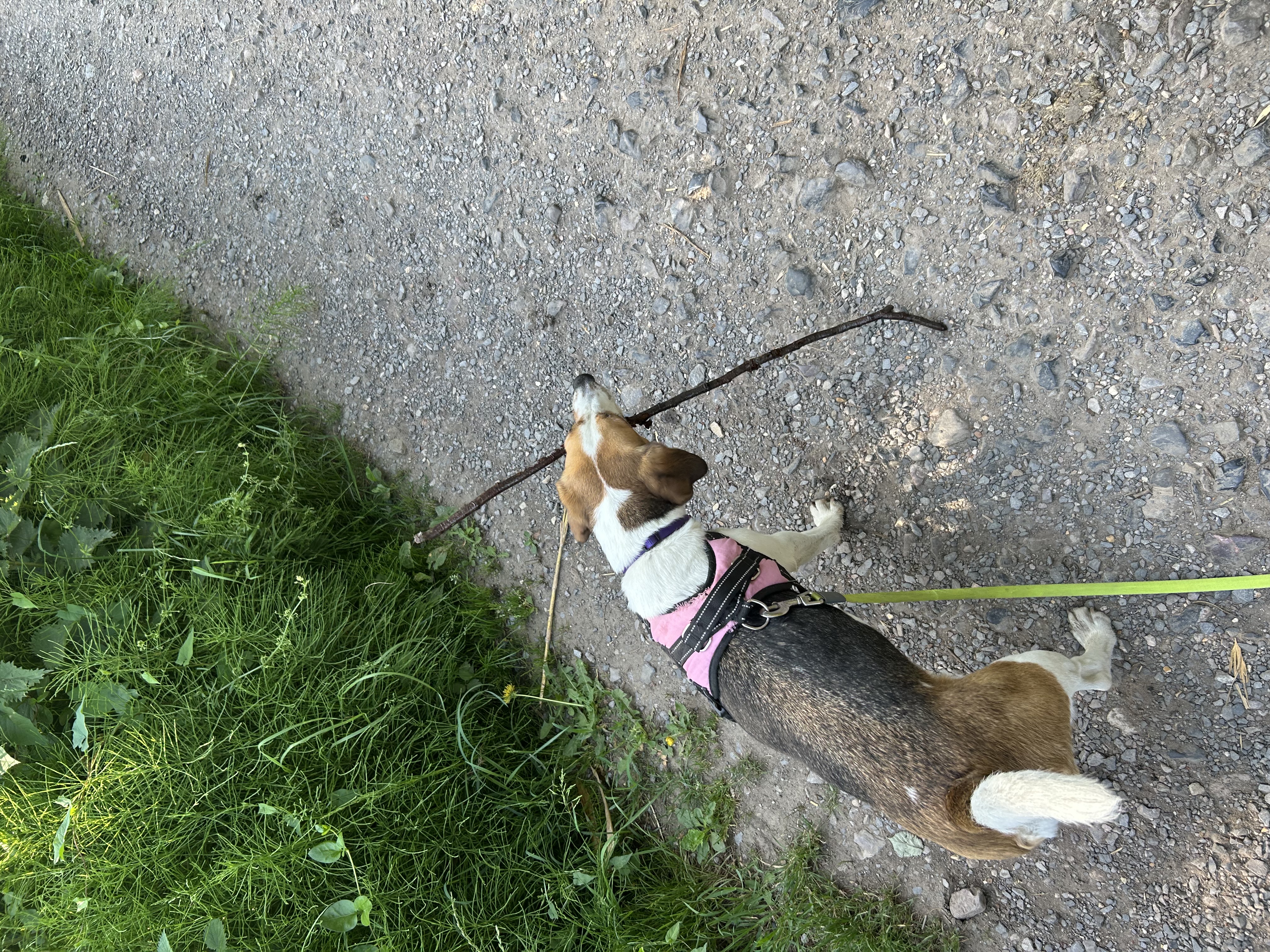 image-8