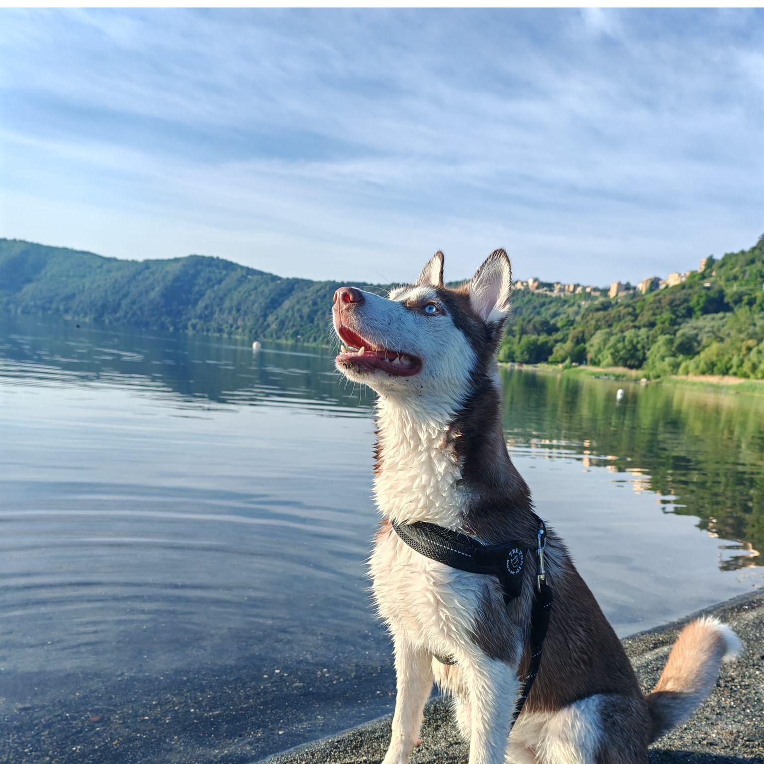 Aika