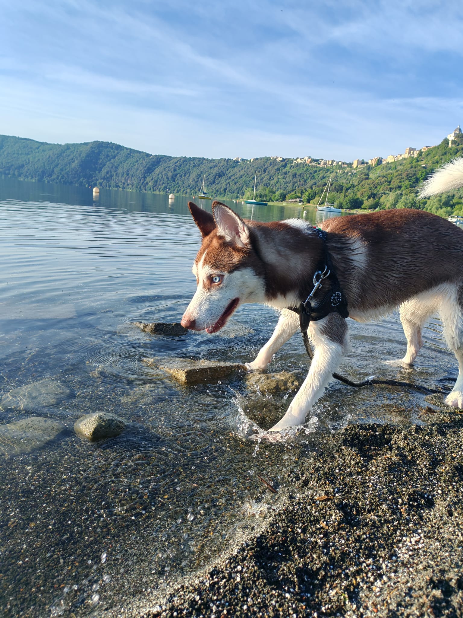 image-7