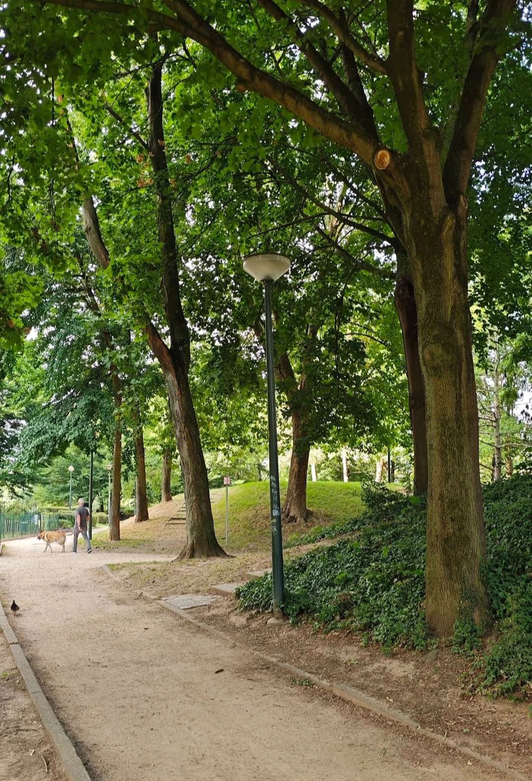 image-7
