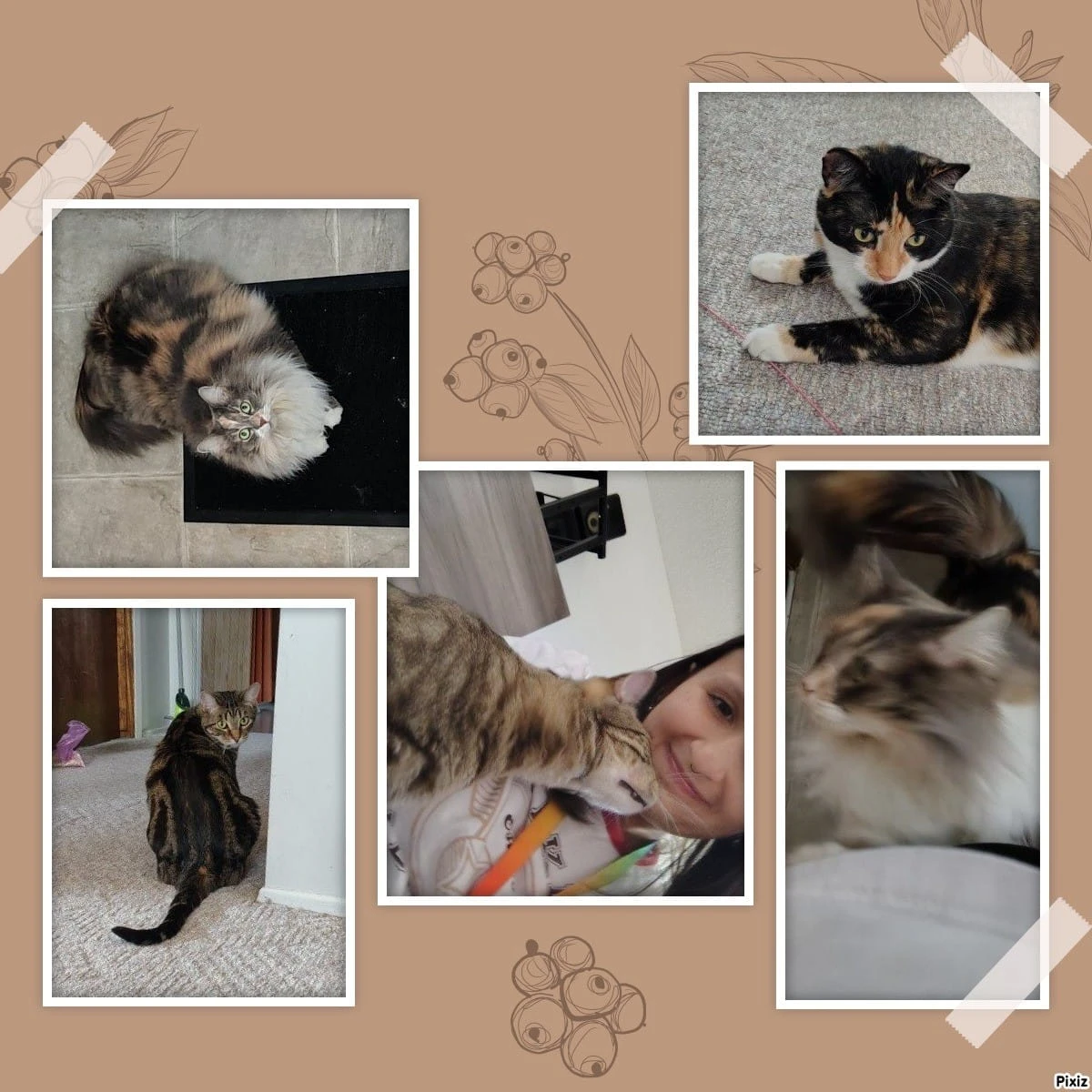 image-18