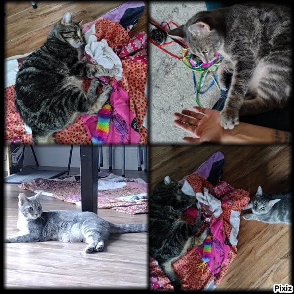image-15