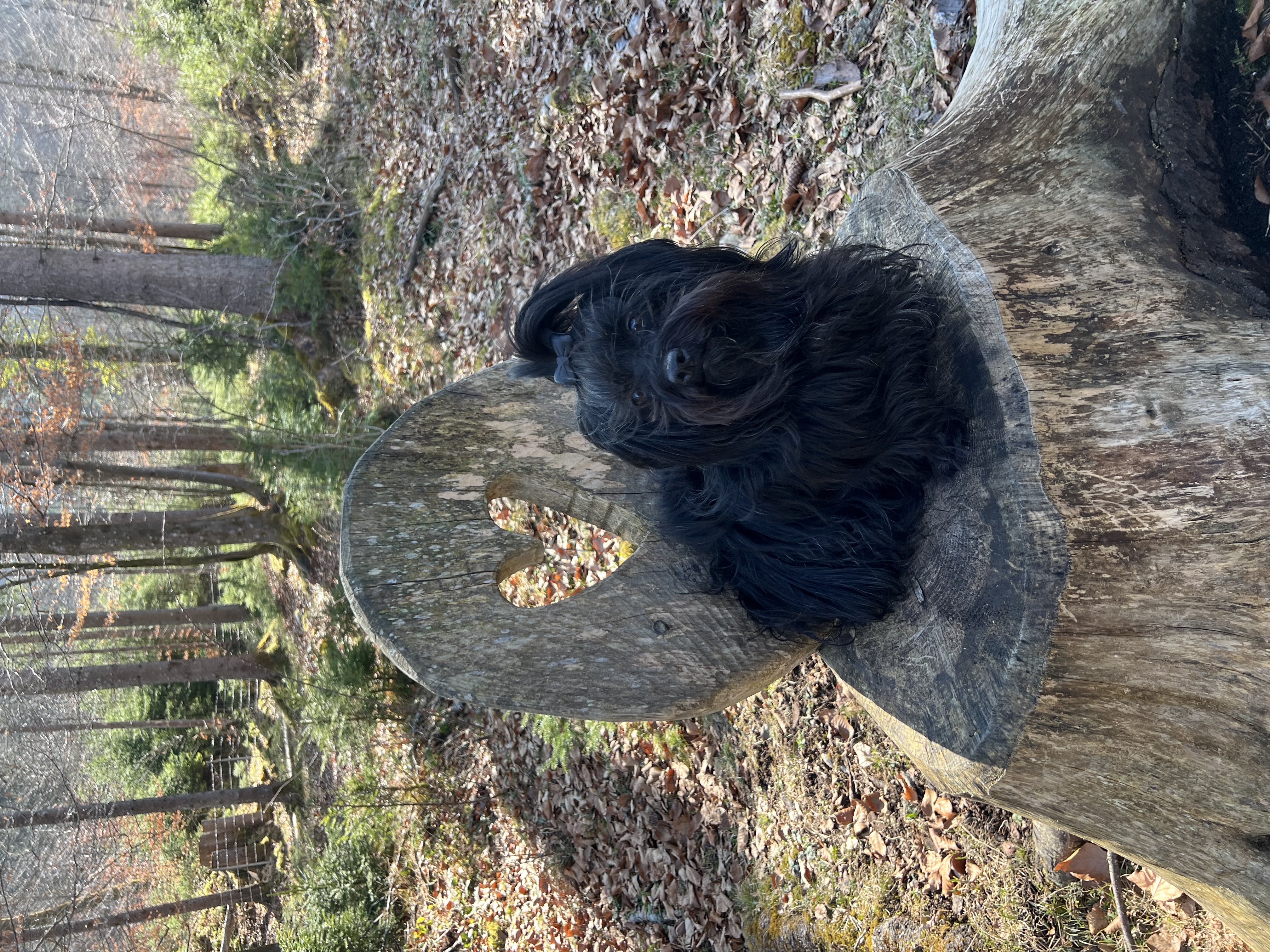 image-13