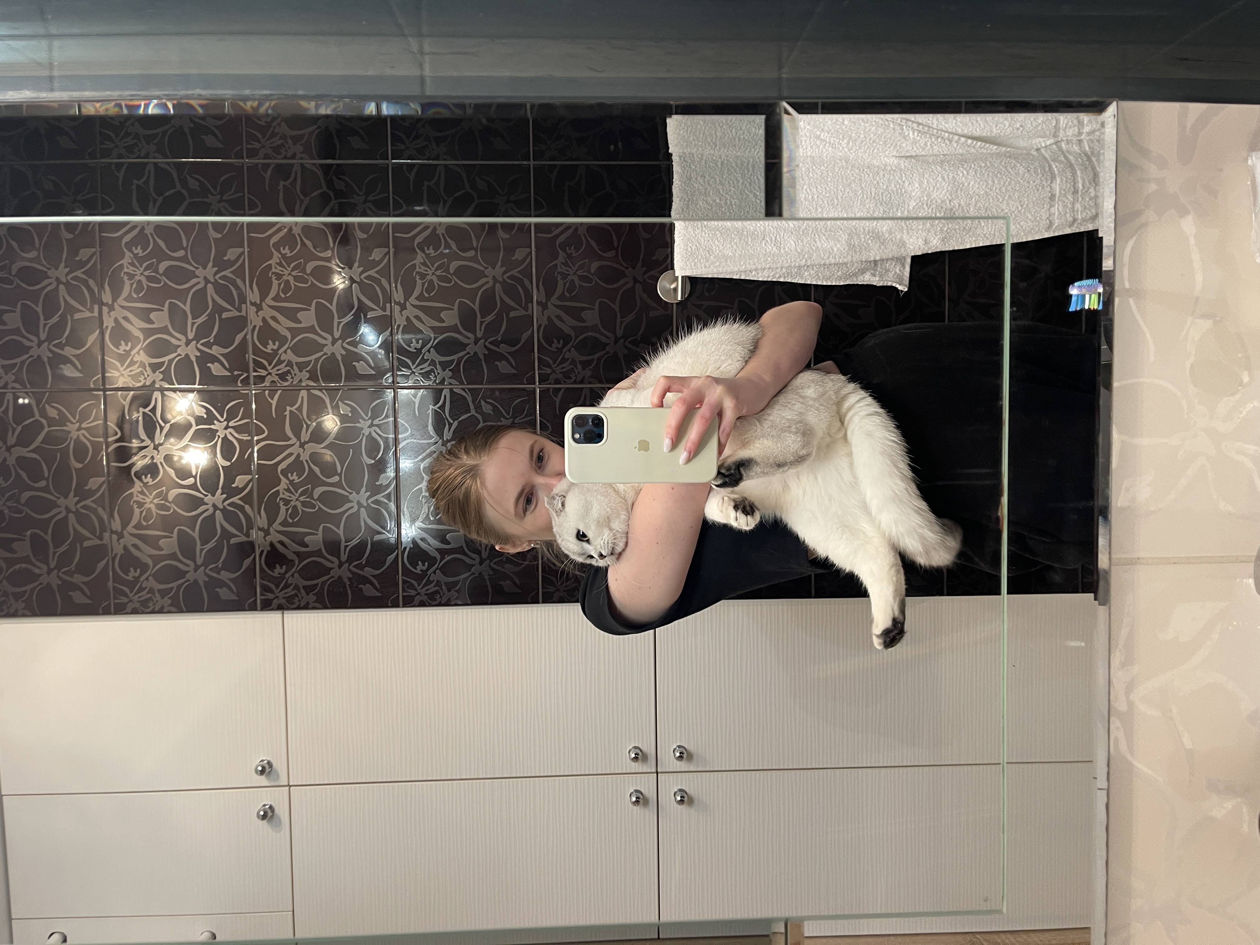 image-12