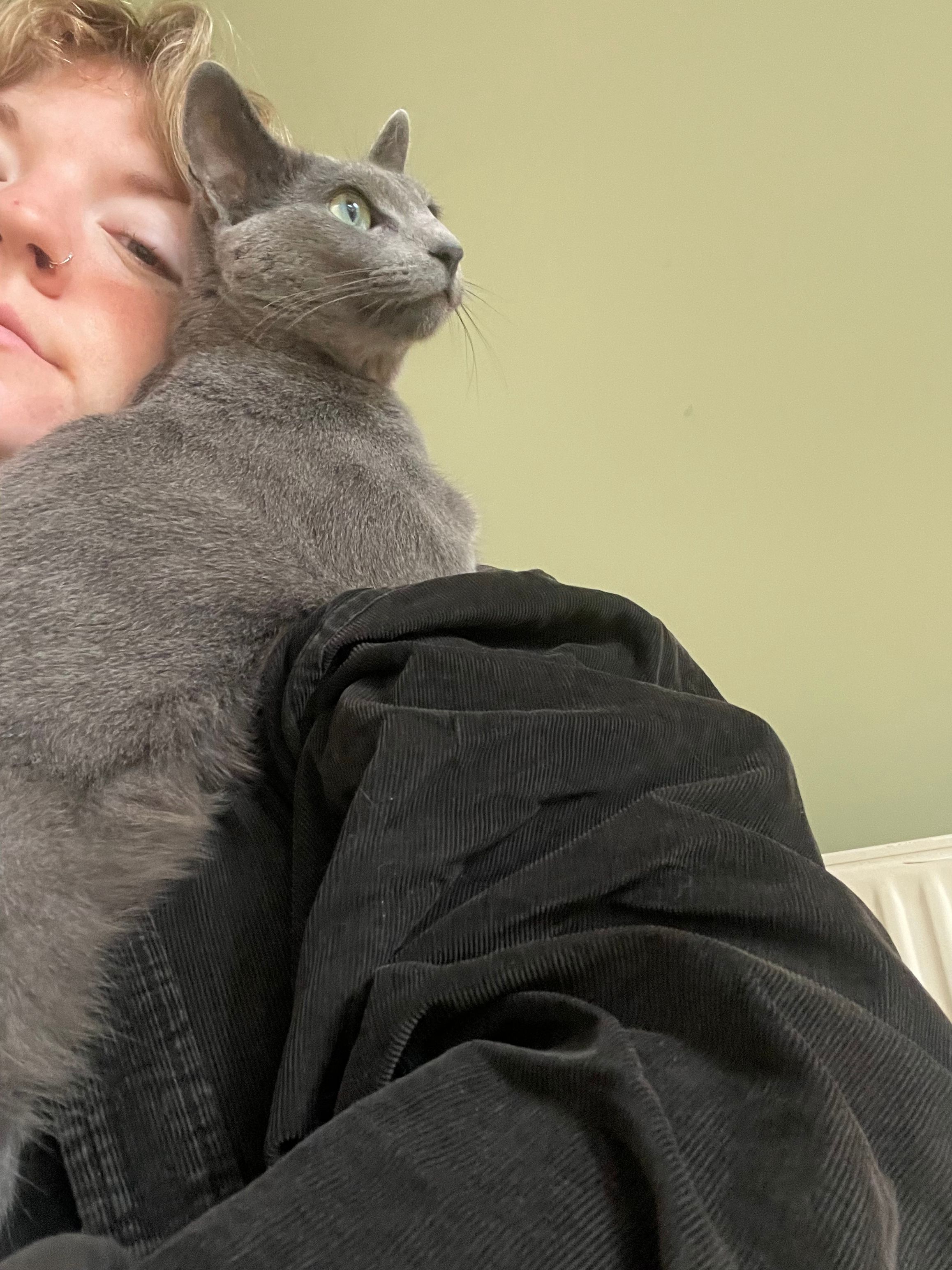 image-3
