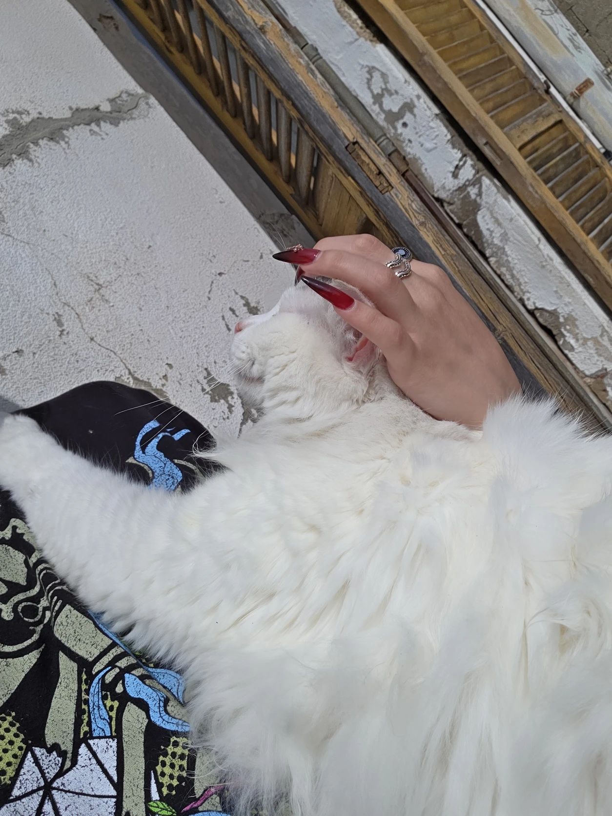 image-8