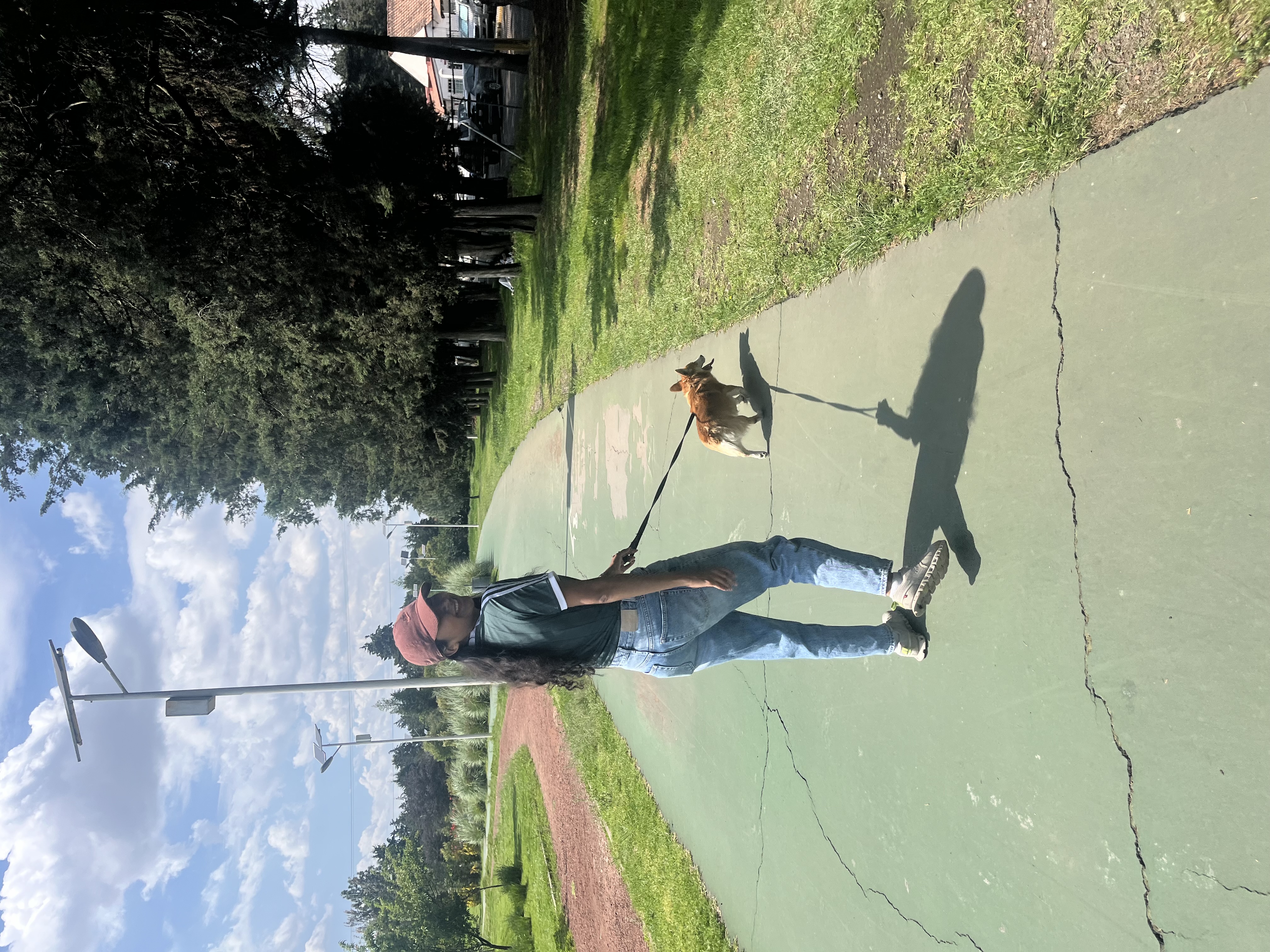 image-3