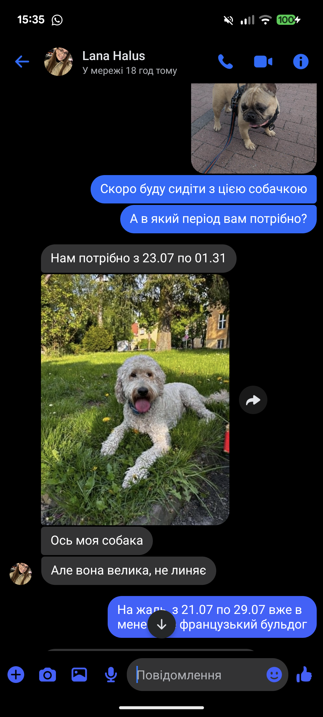 image-16