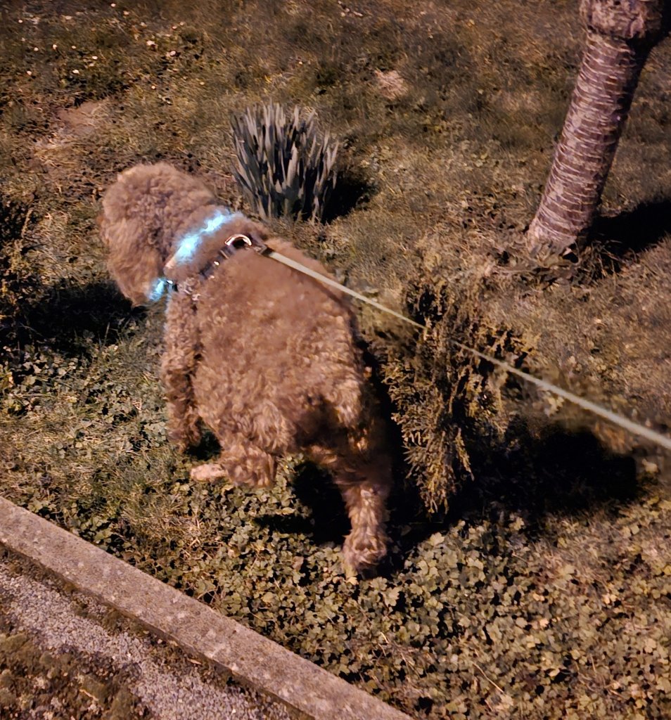 image-6