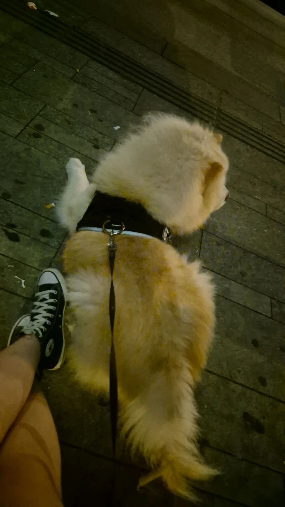 image-7