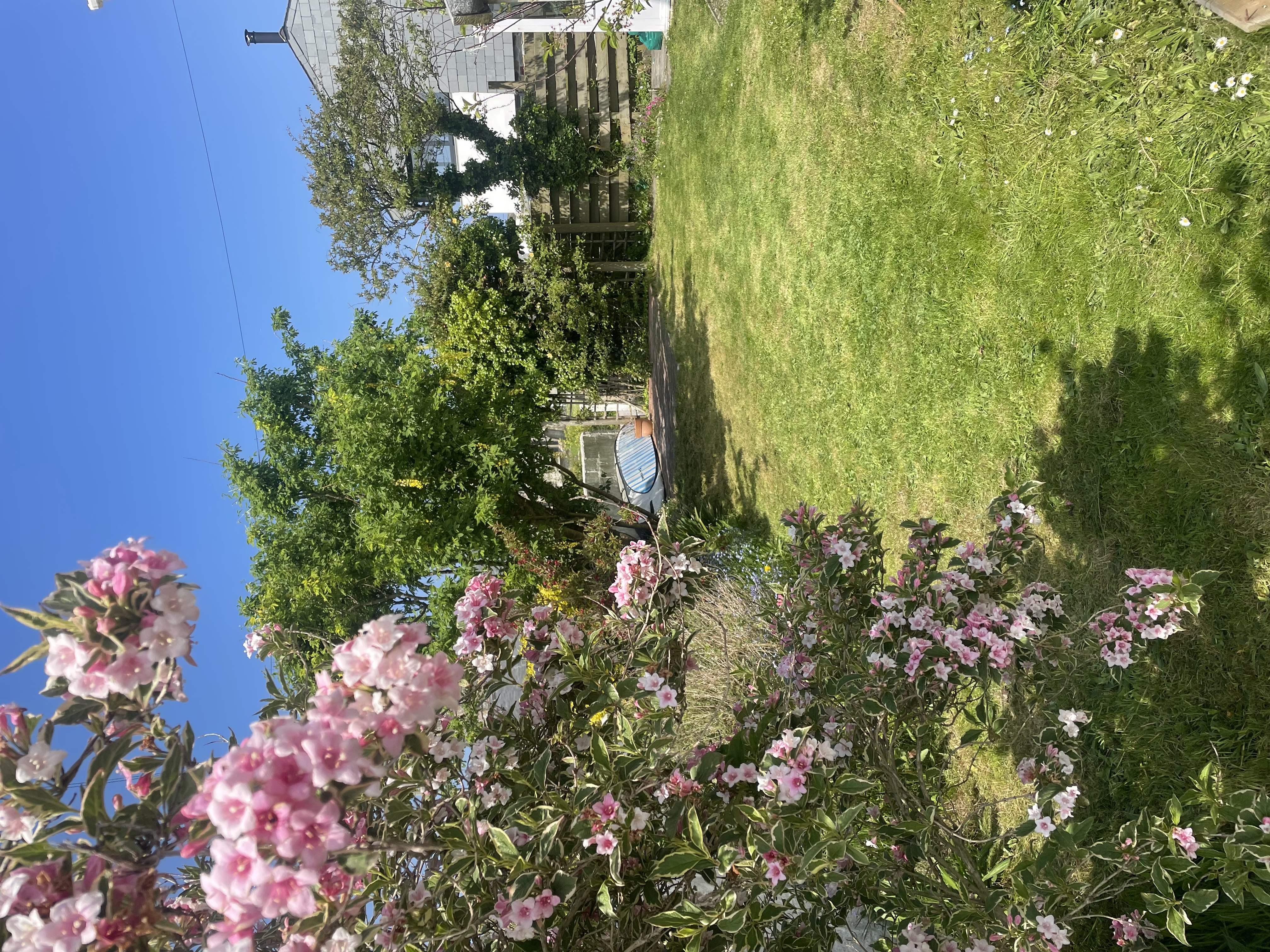 image-14