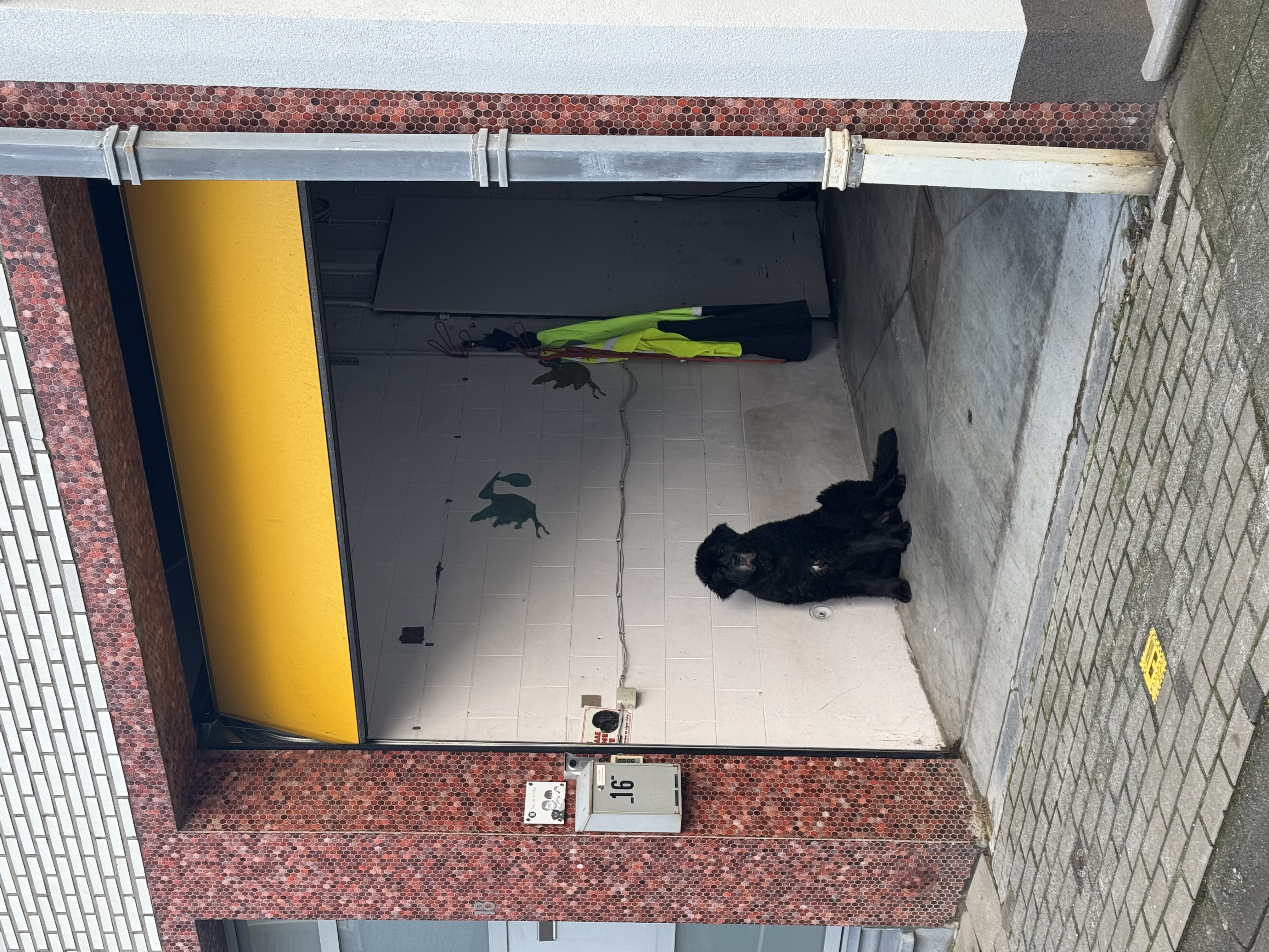image-14