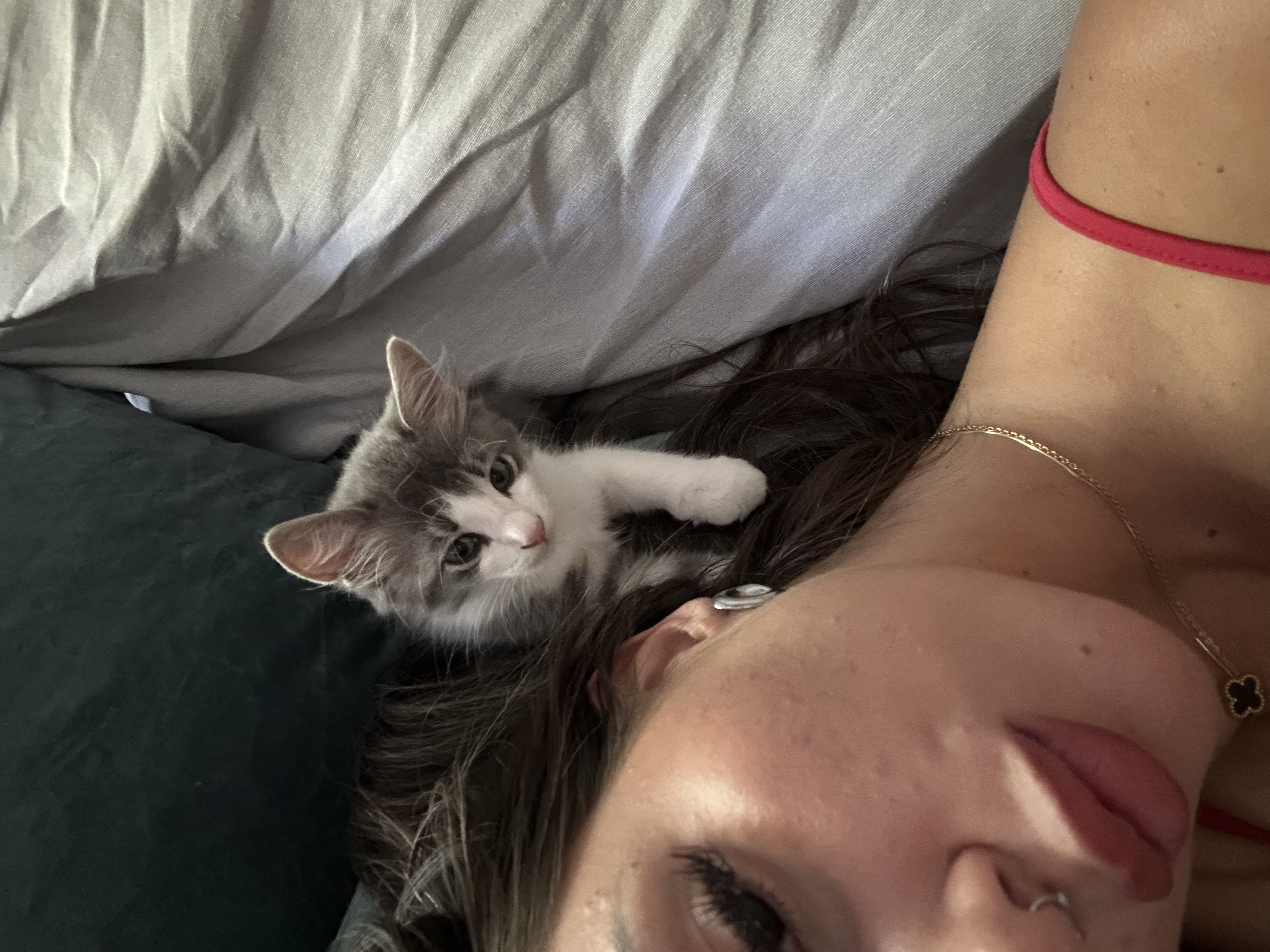image-8