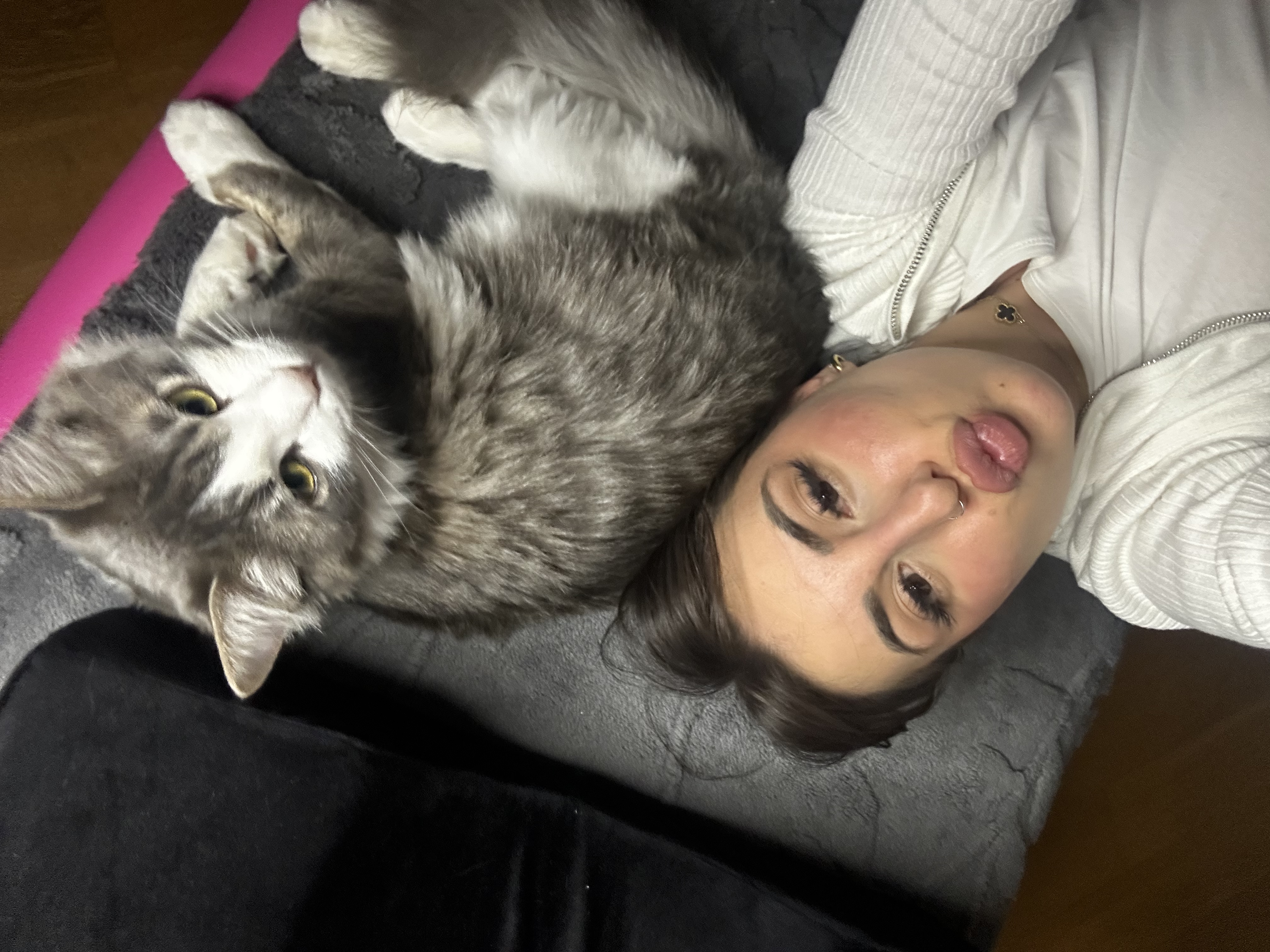 image-6