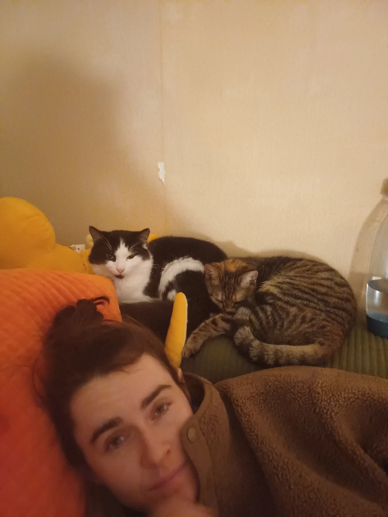 image-8