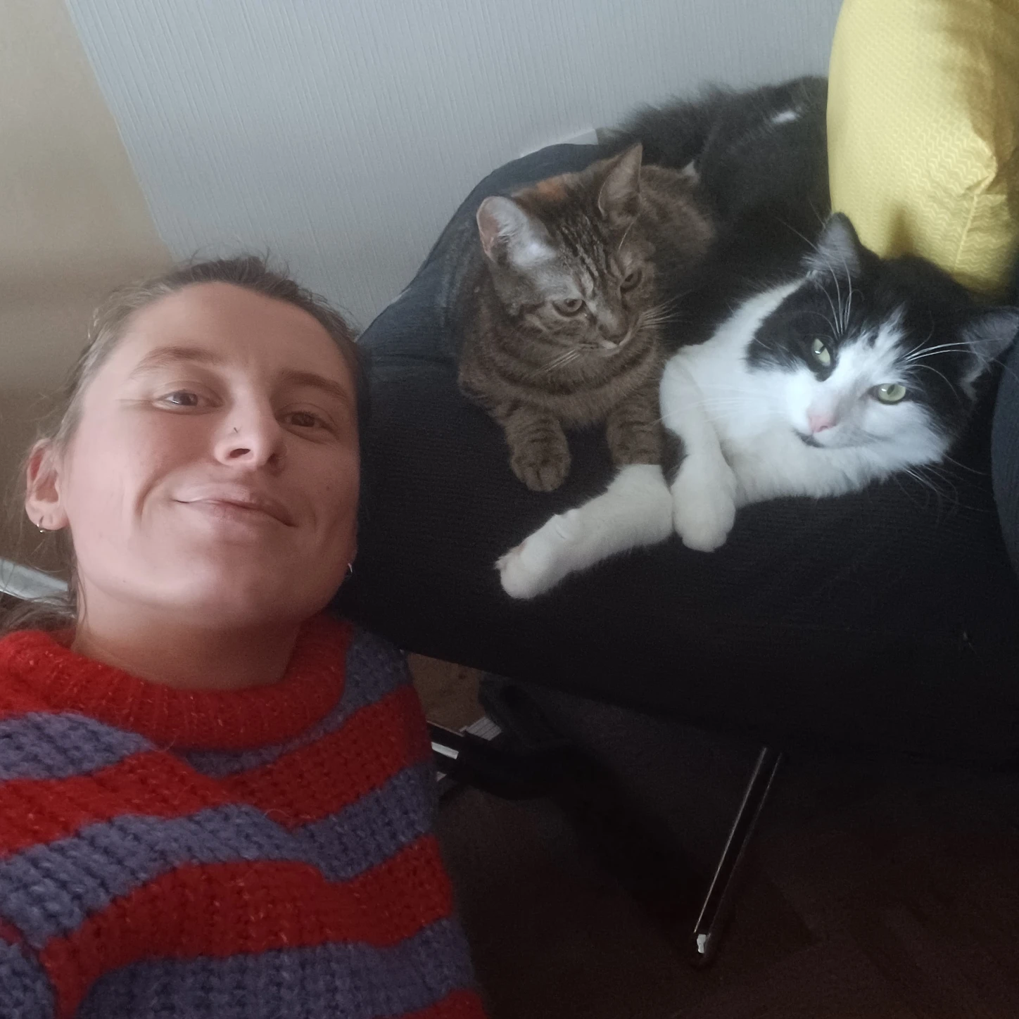 image-6