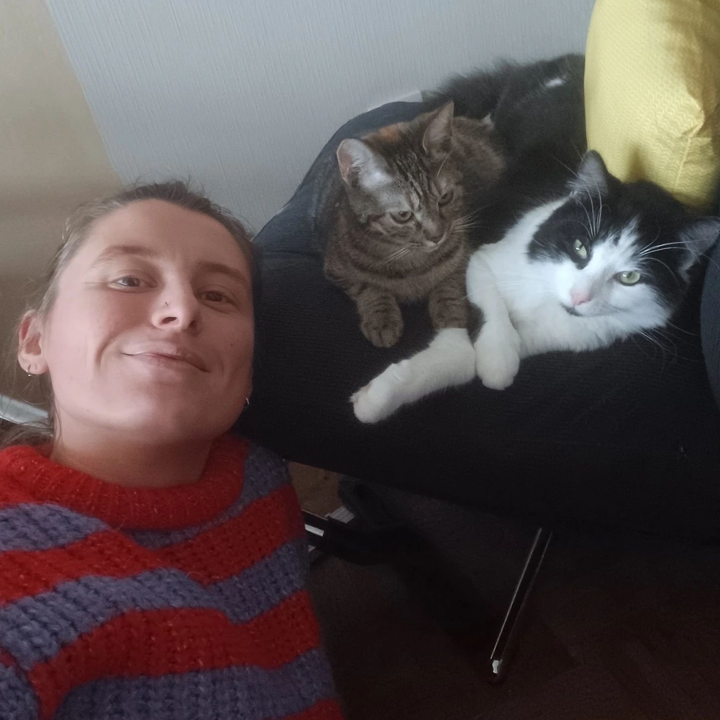 image-6