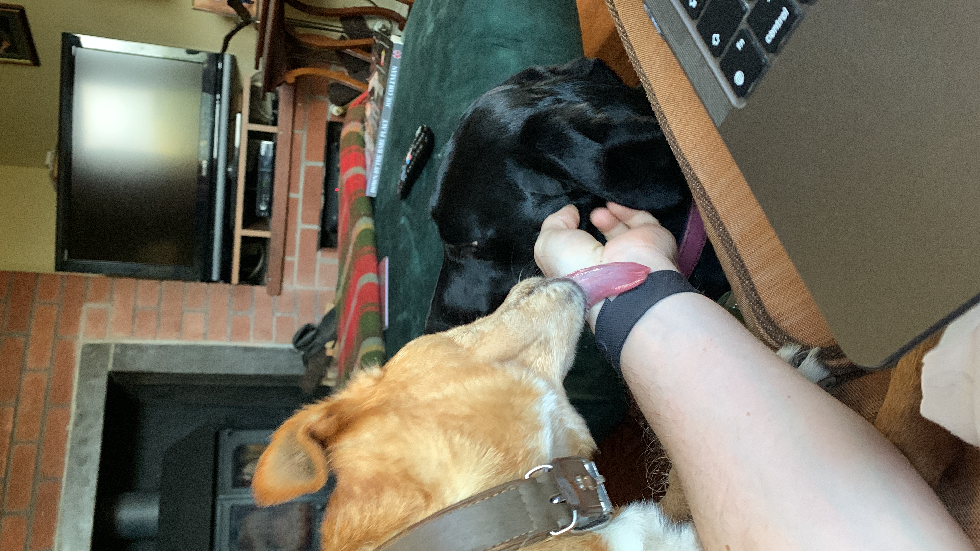 image-5