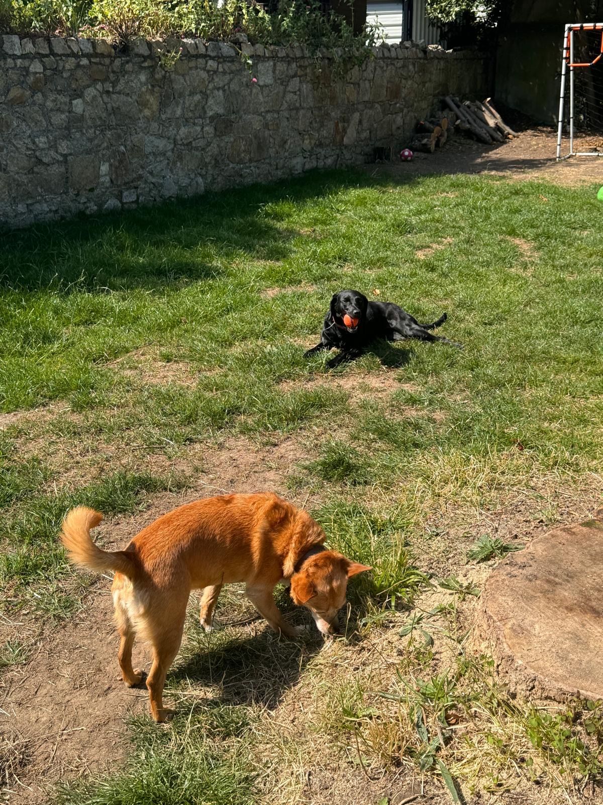 image-13