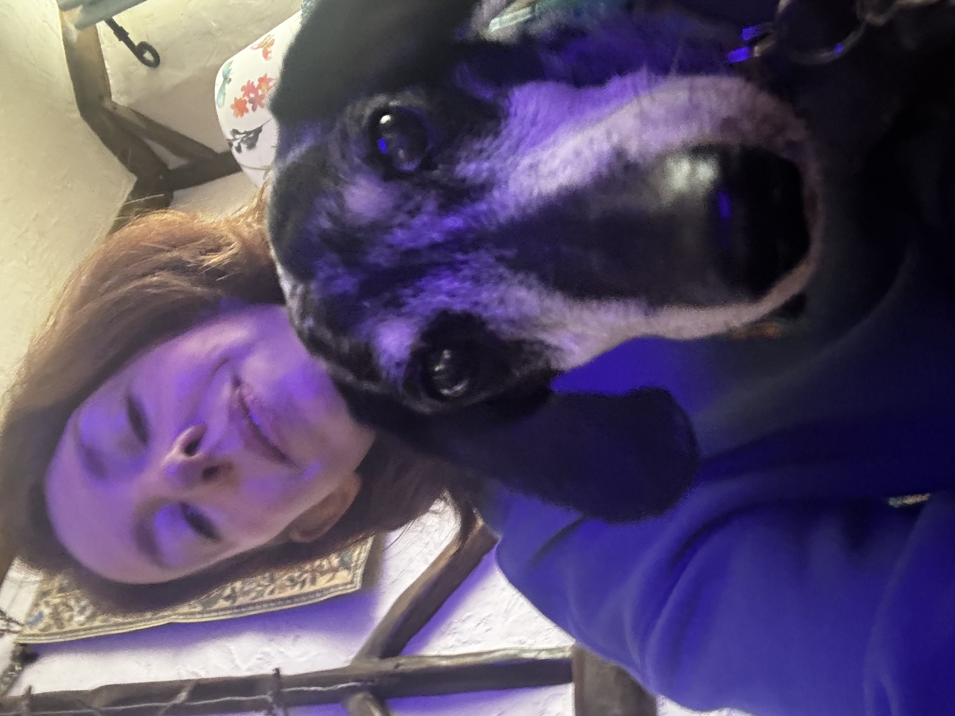 image-14
