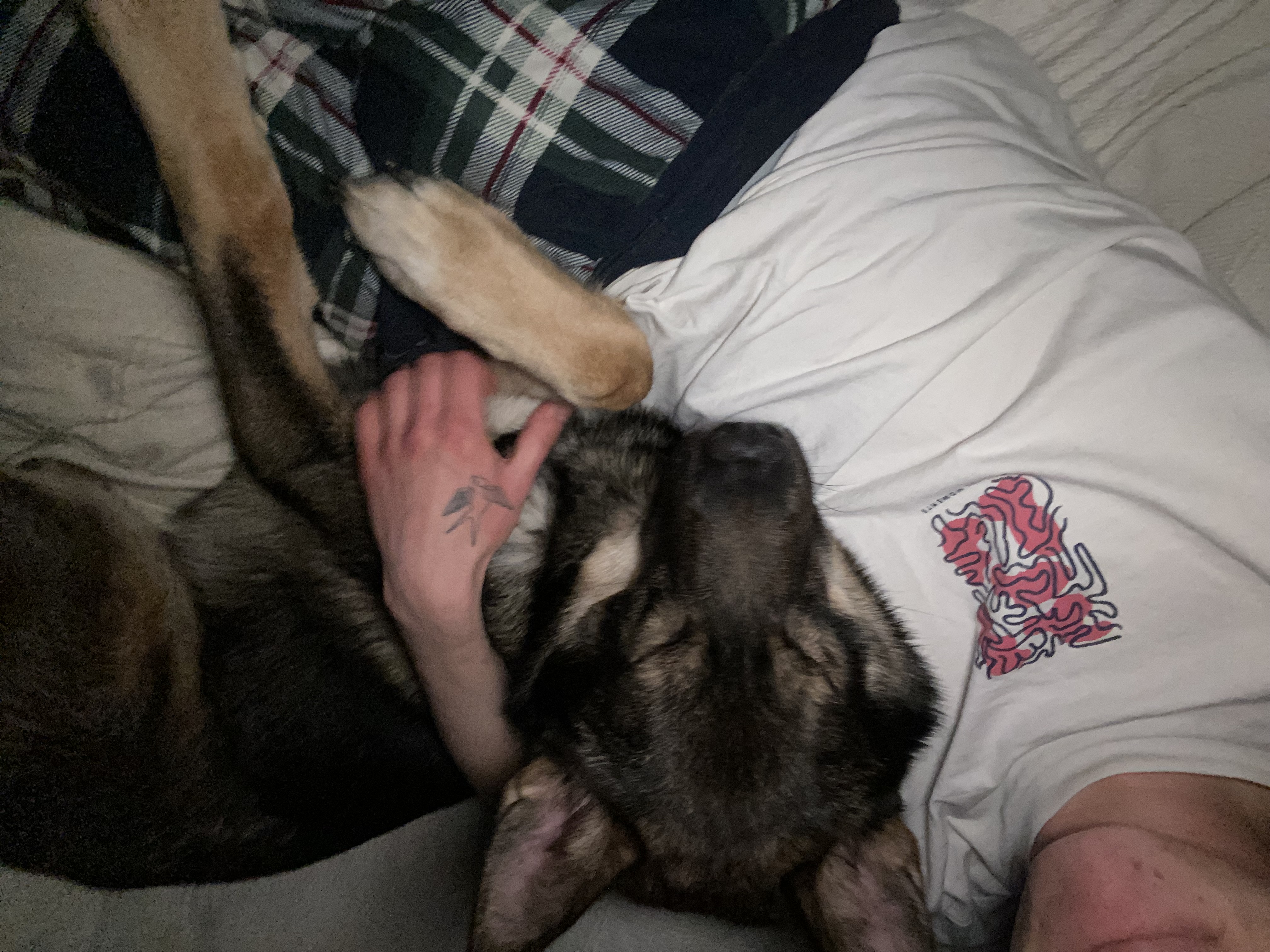 image-8