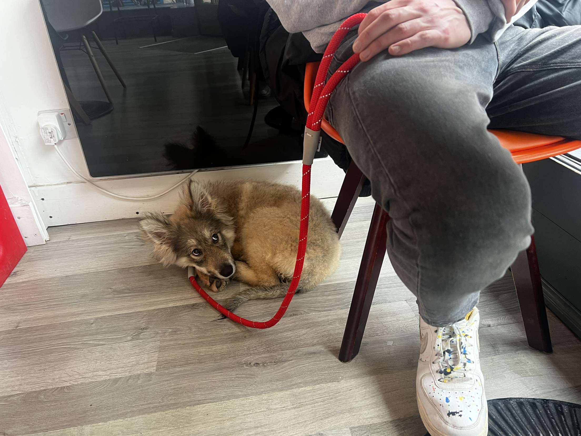 image-6