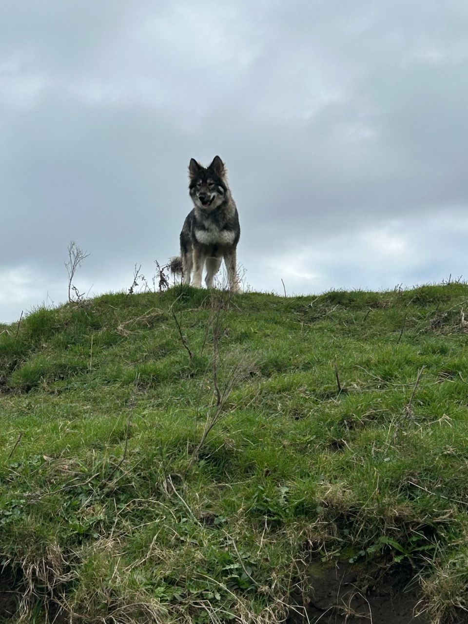 image-10