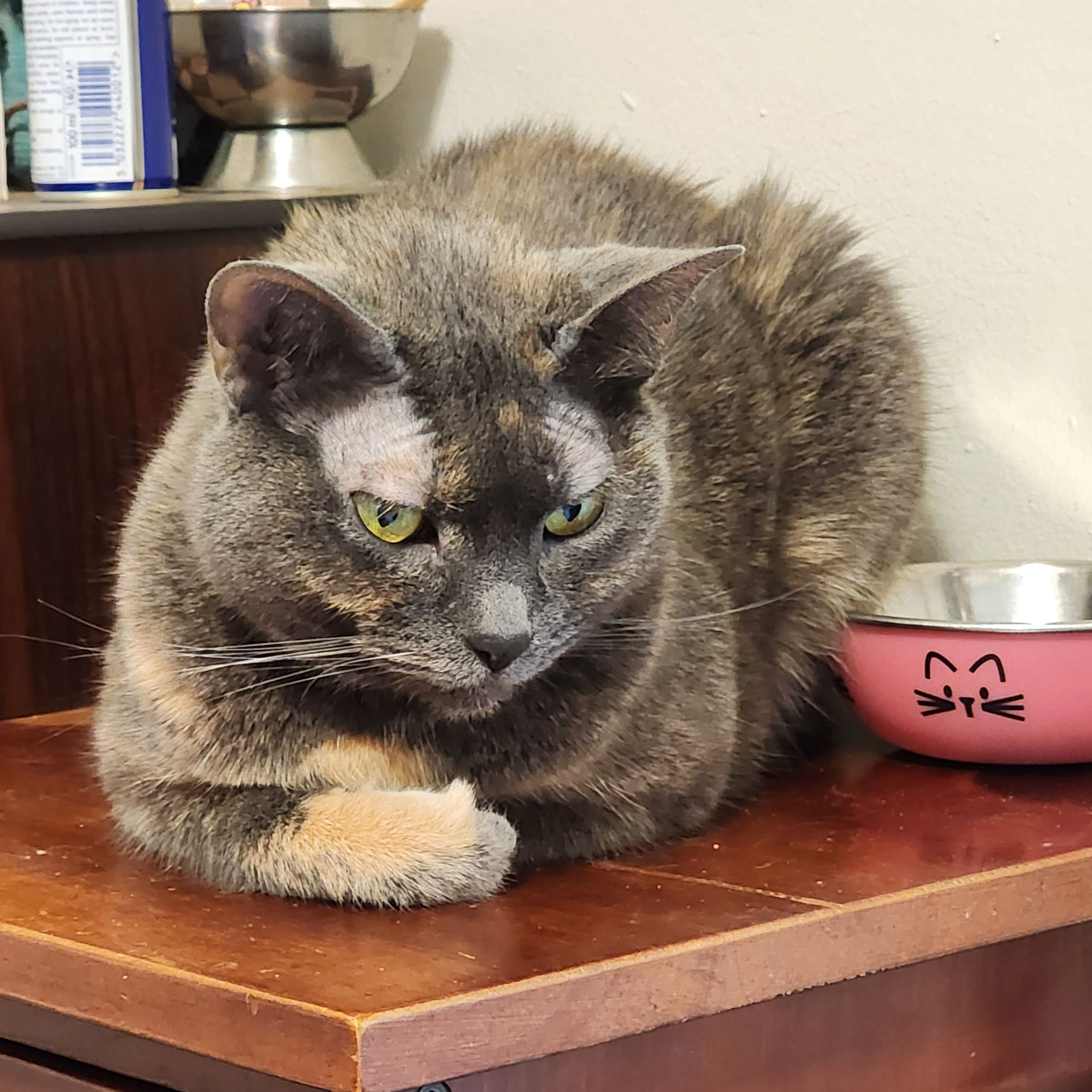 Aiko
