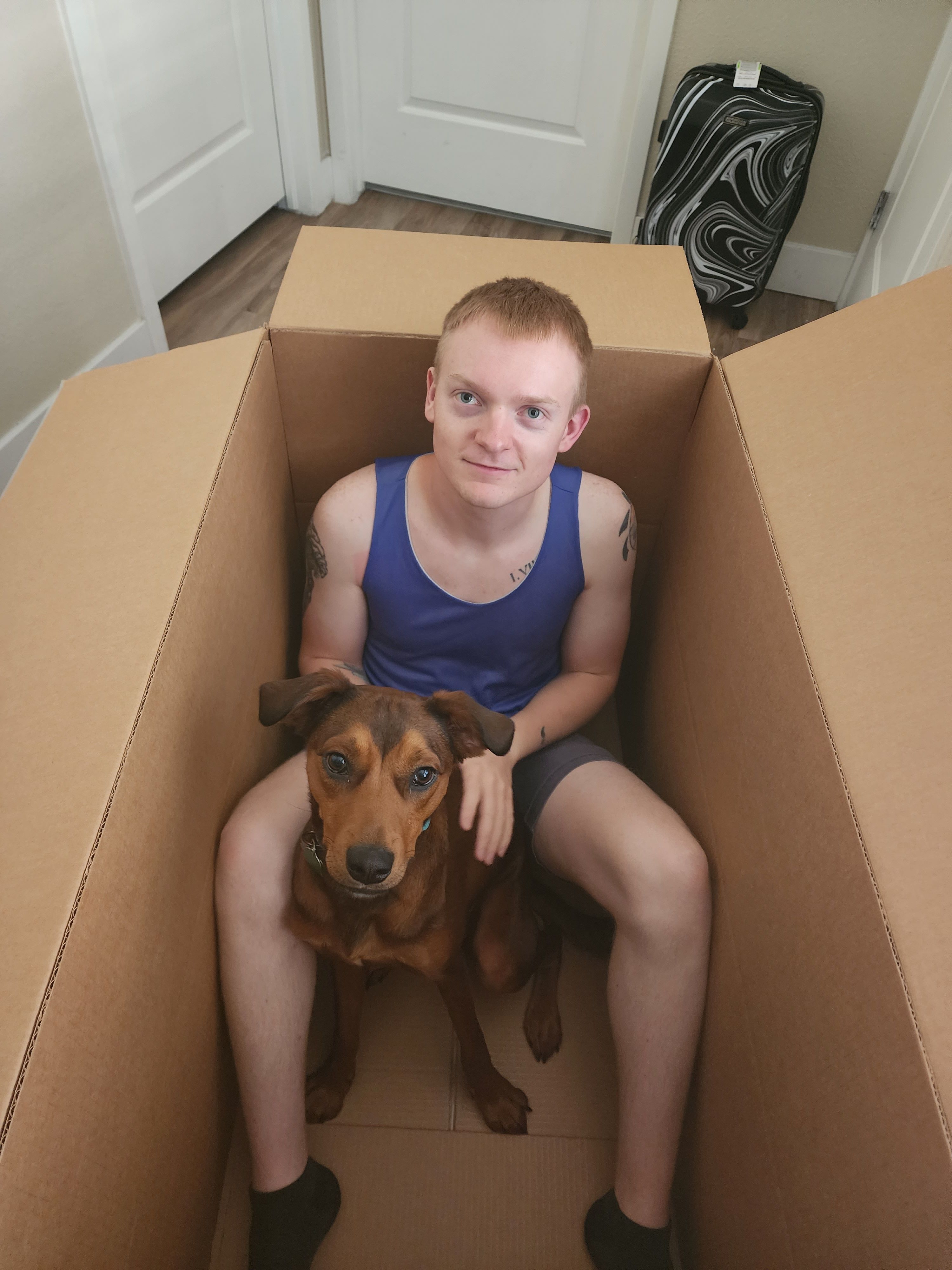 image-6