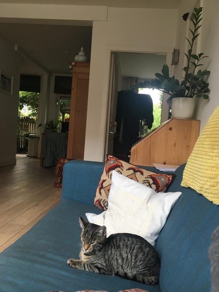 image-12