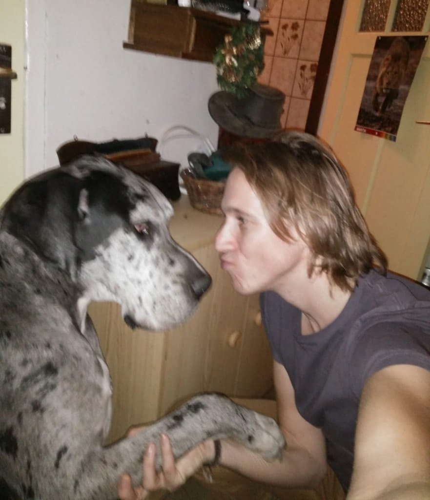 image-6