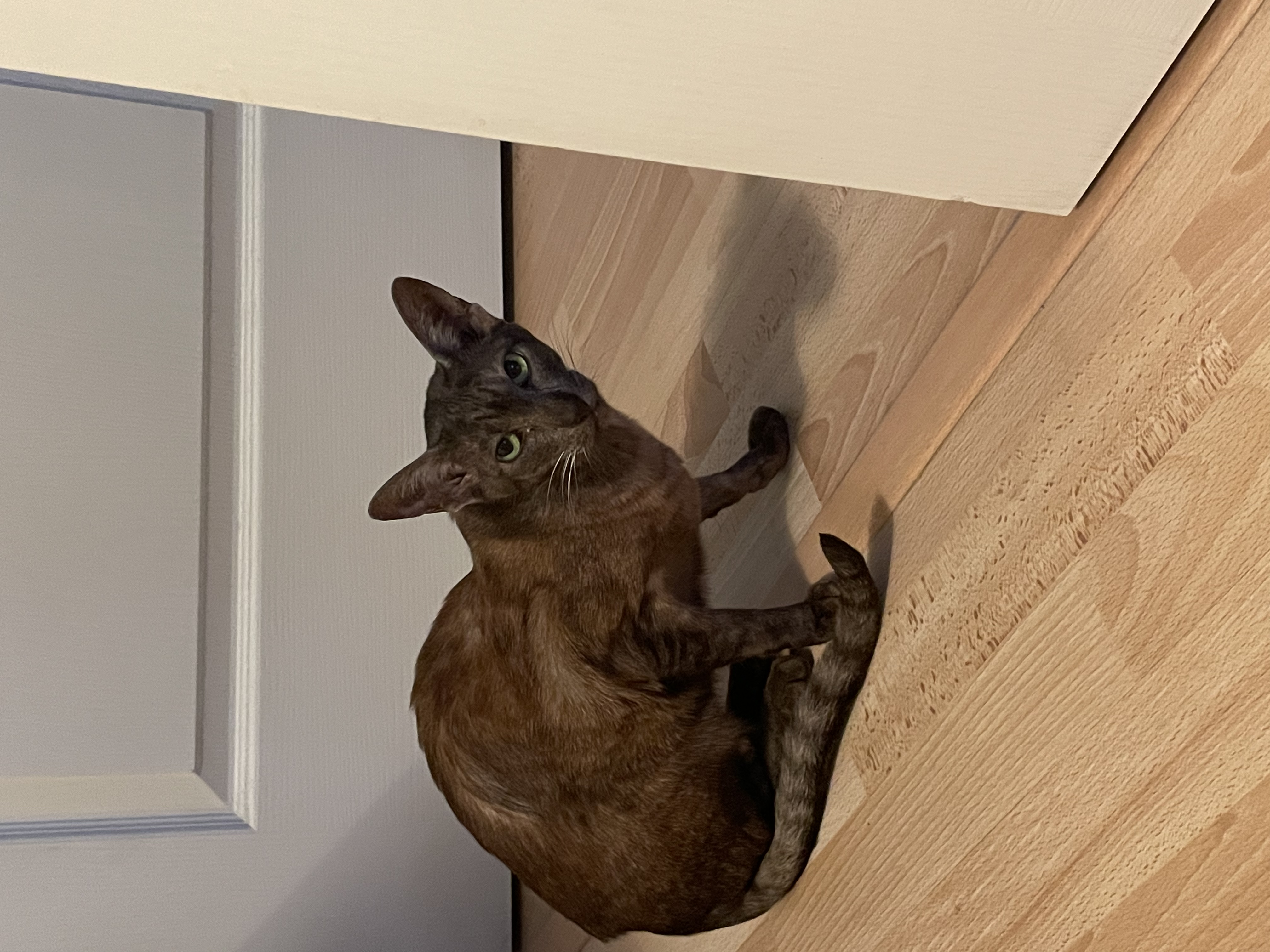 image-10