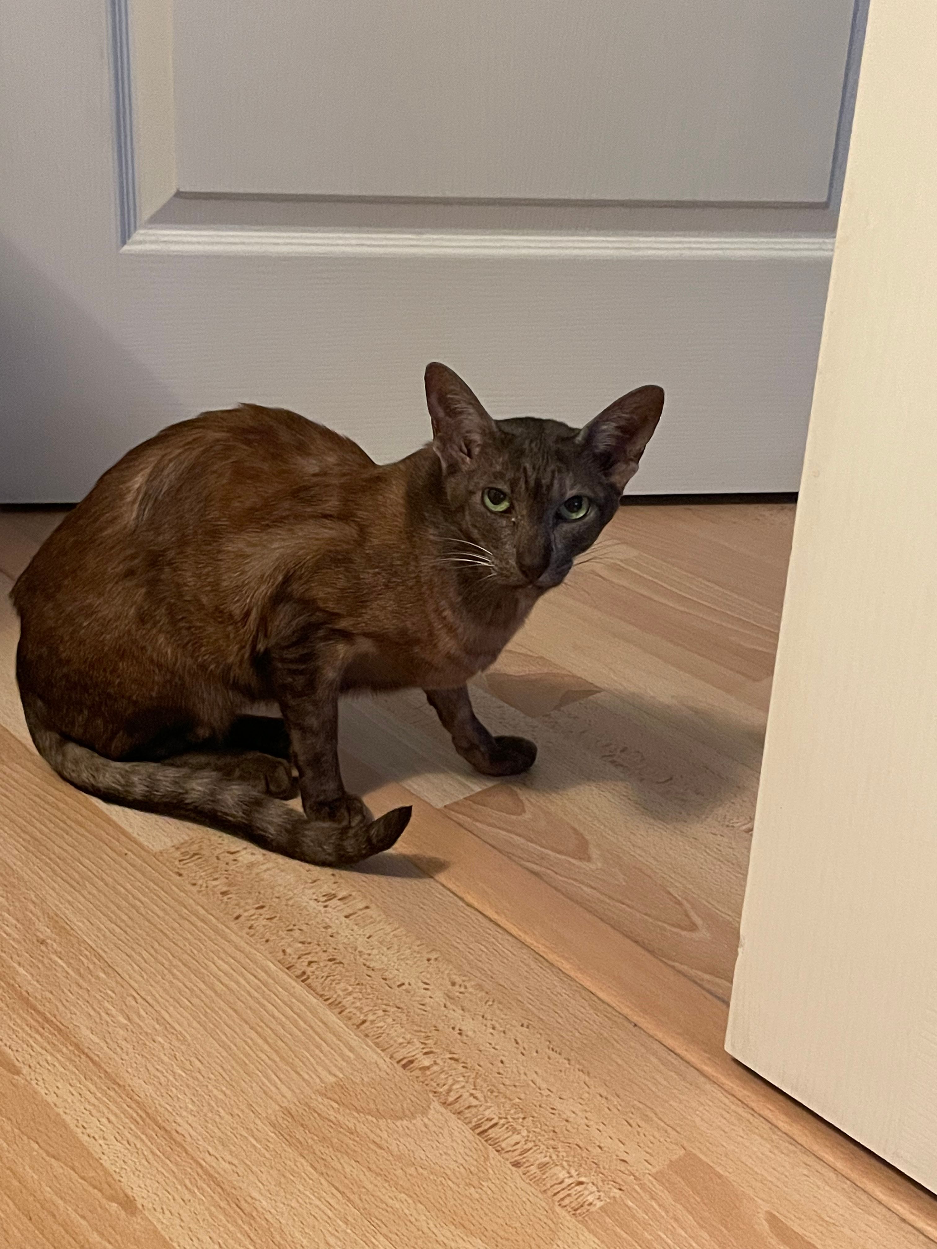 image-10