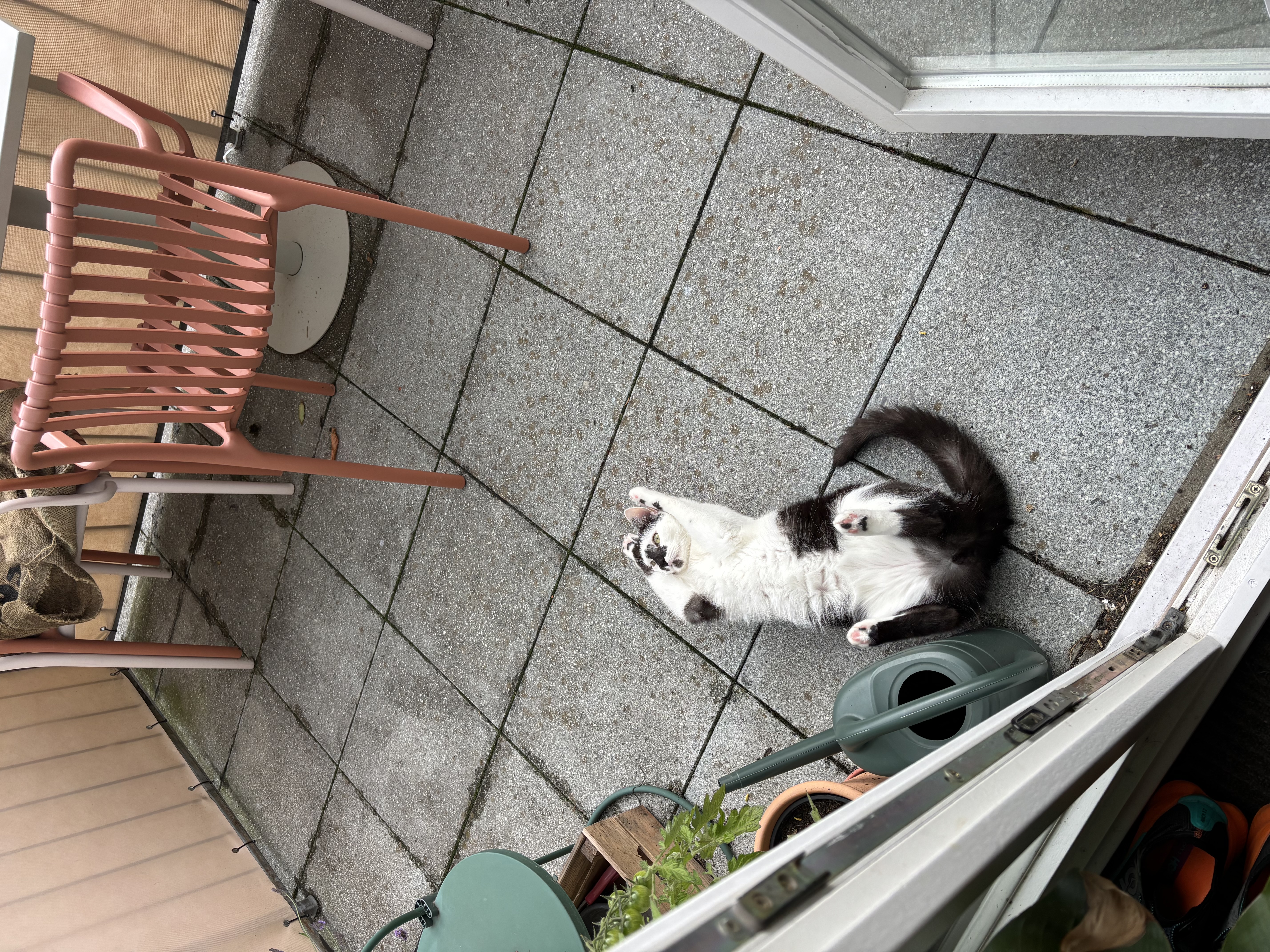 image-14