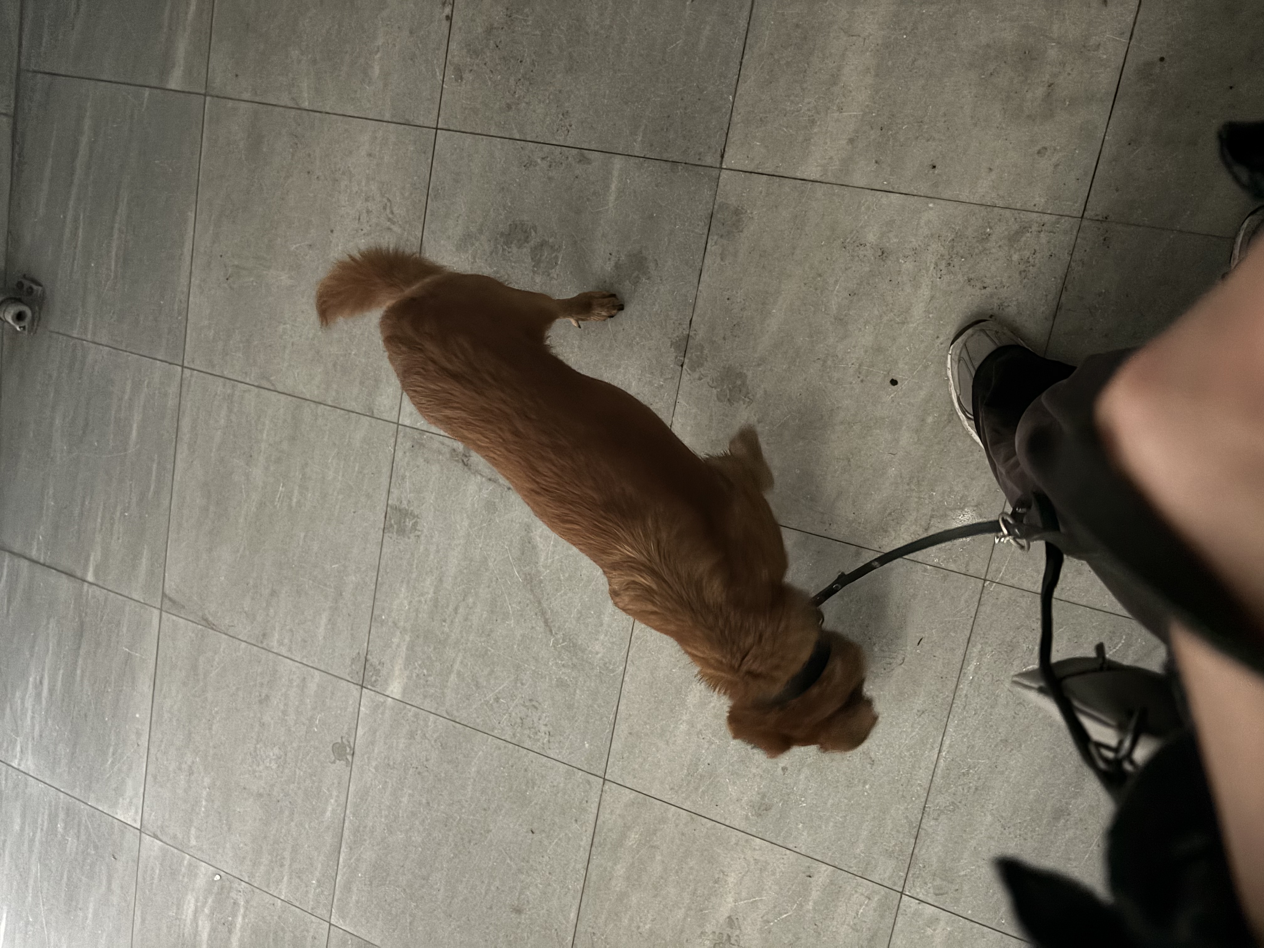 image-16