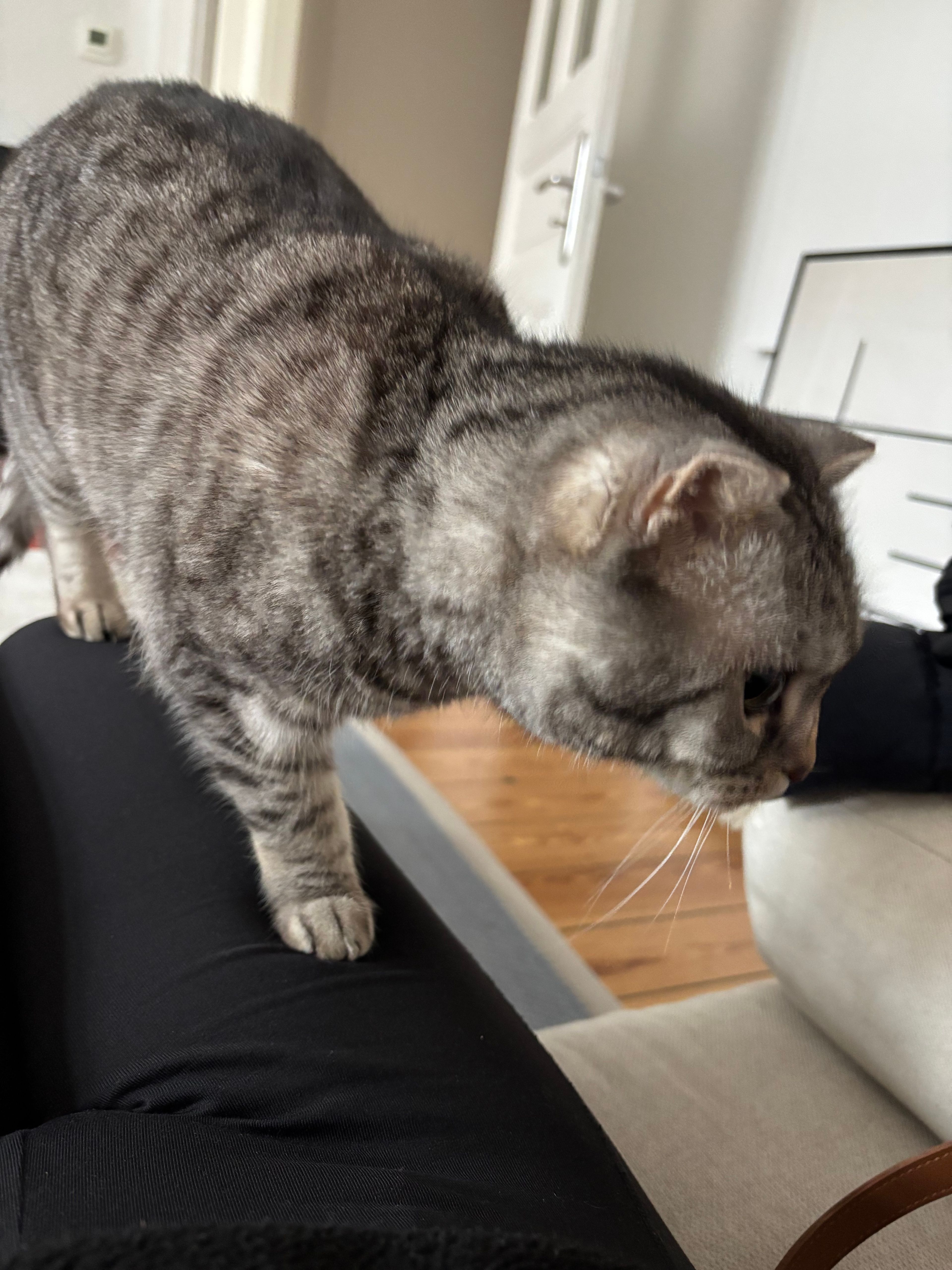 image-8