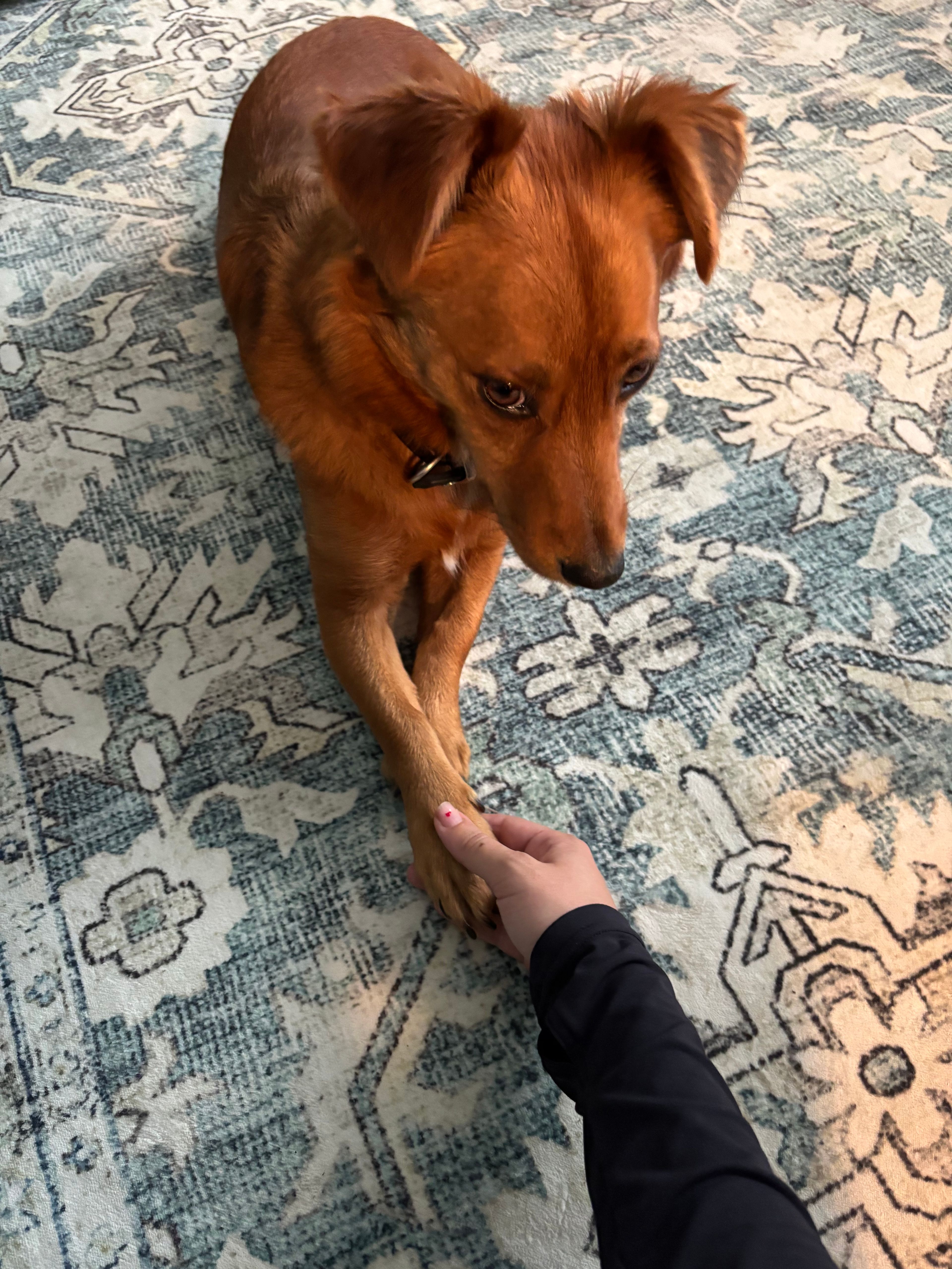 image-13