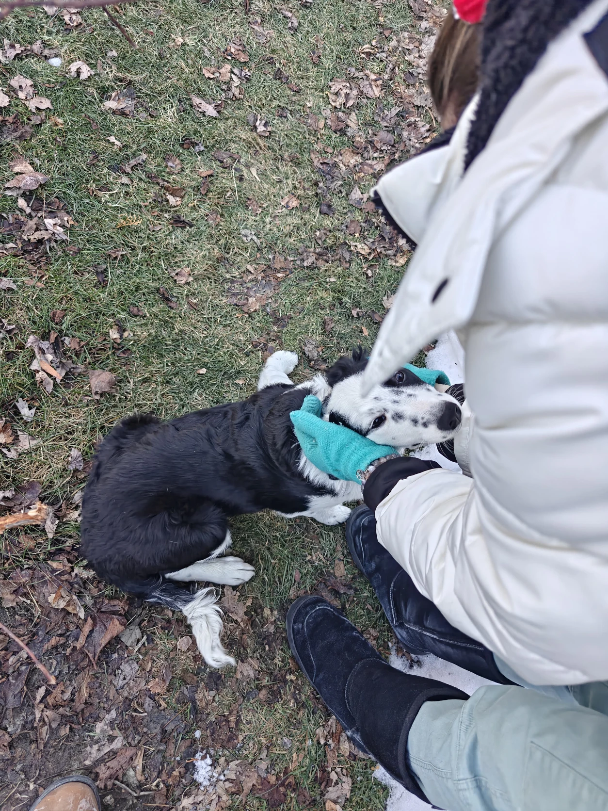 image-12