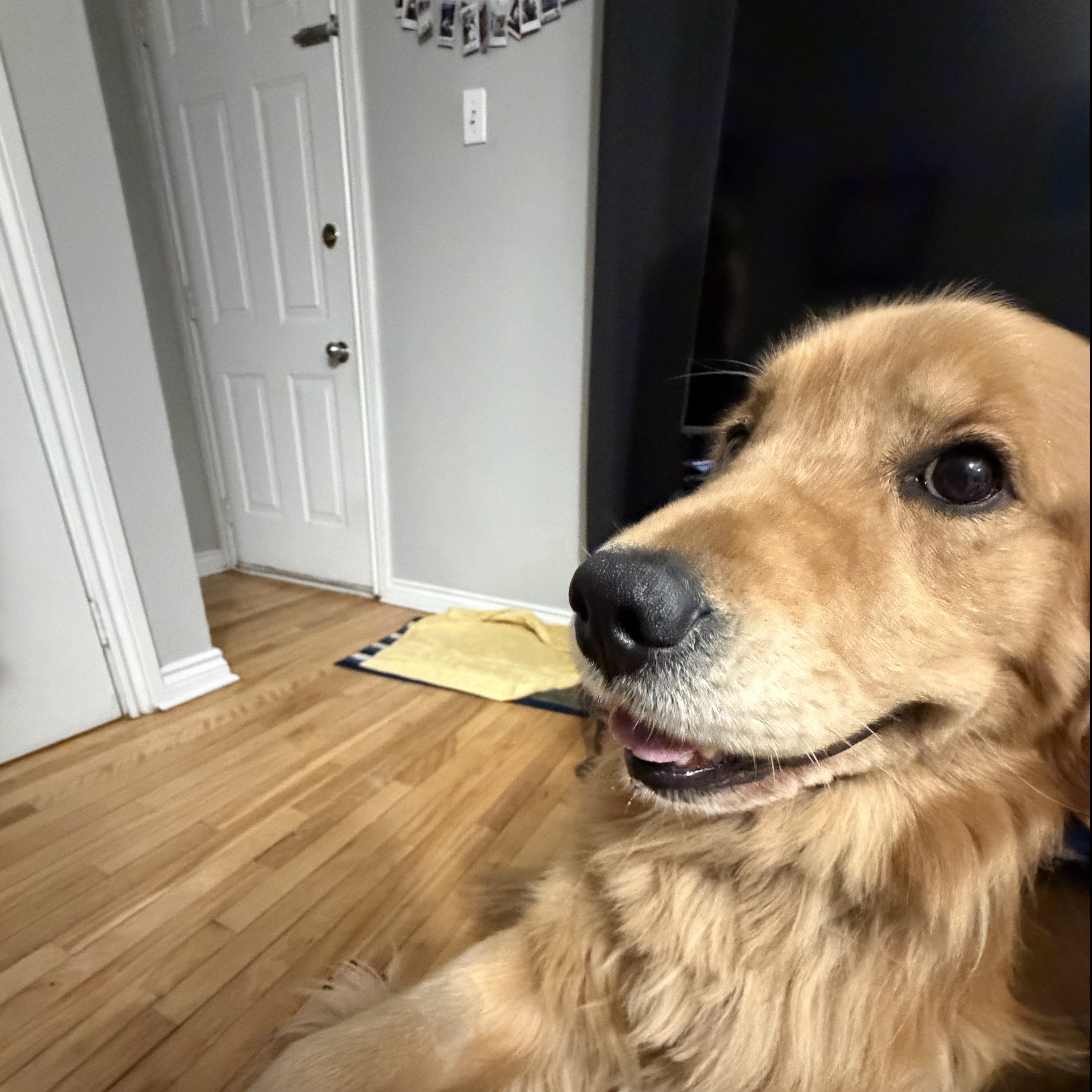 Zeus