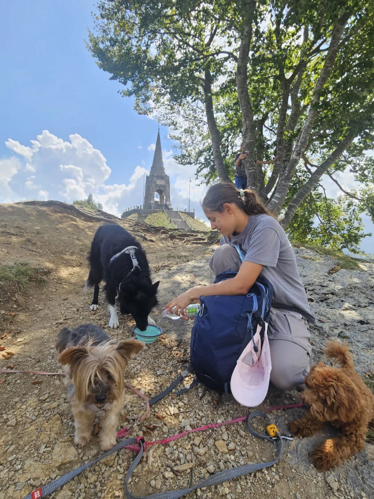 image-10