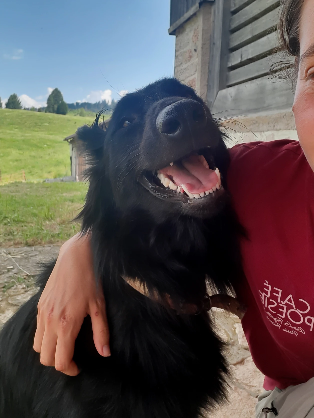 image-14
