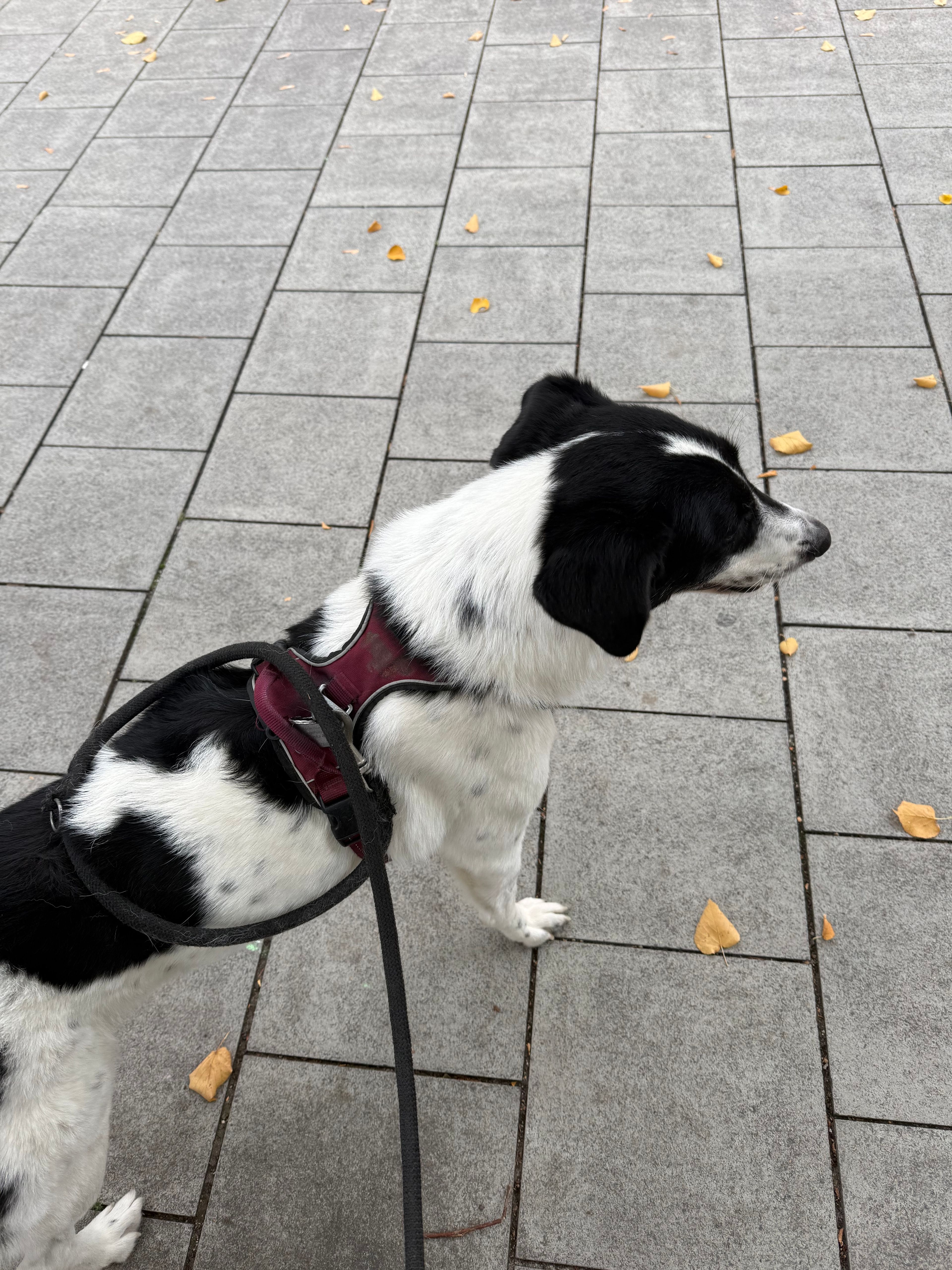 image-14
