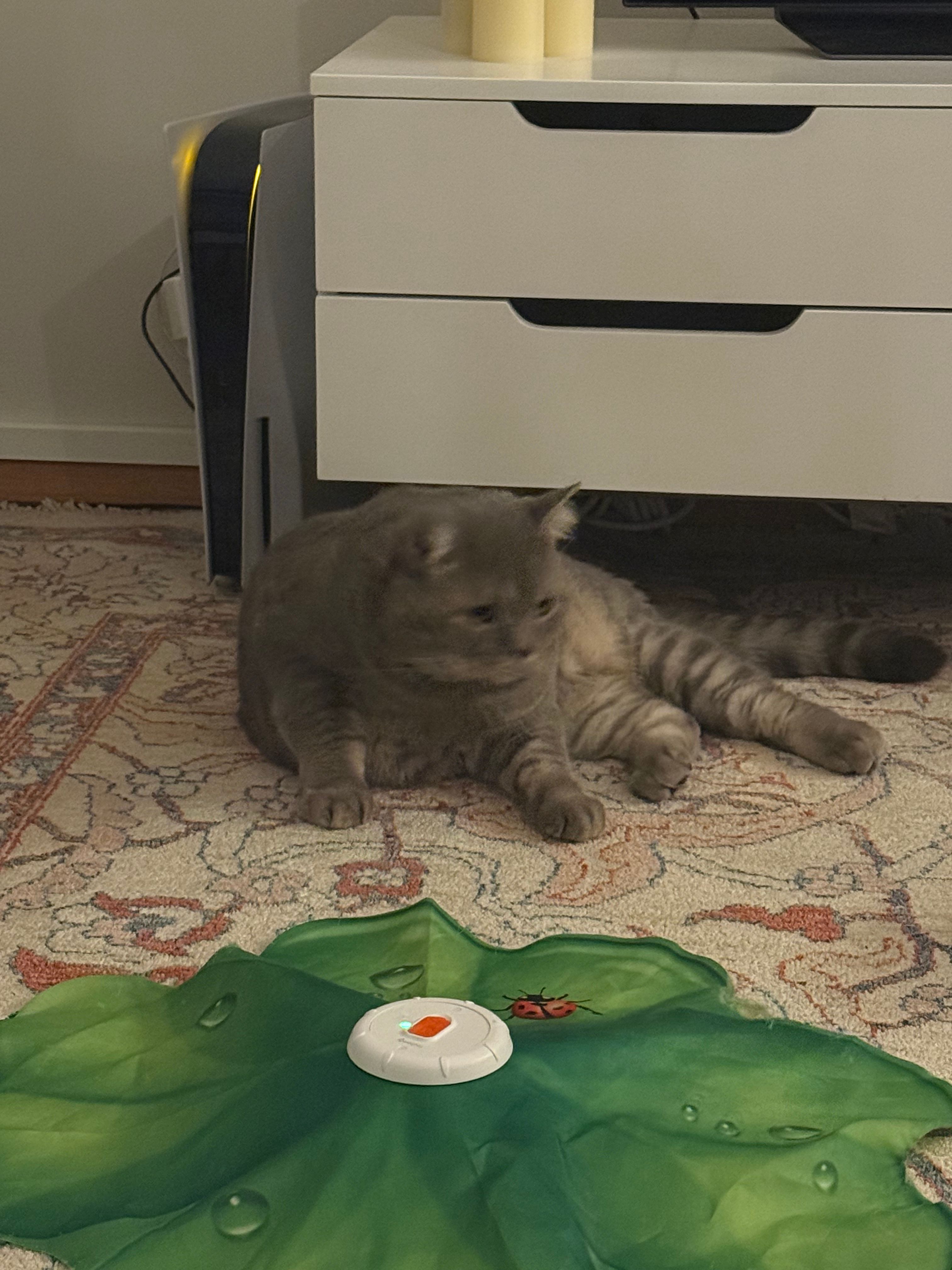 image-17