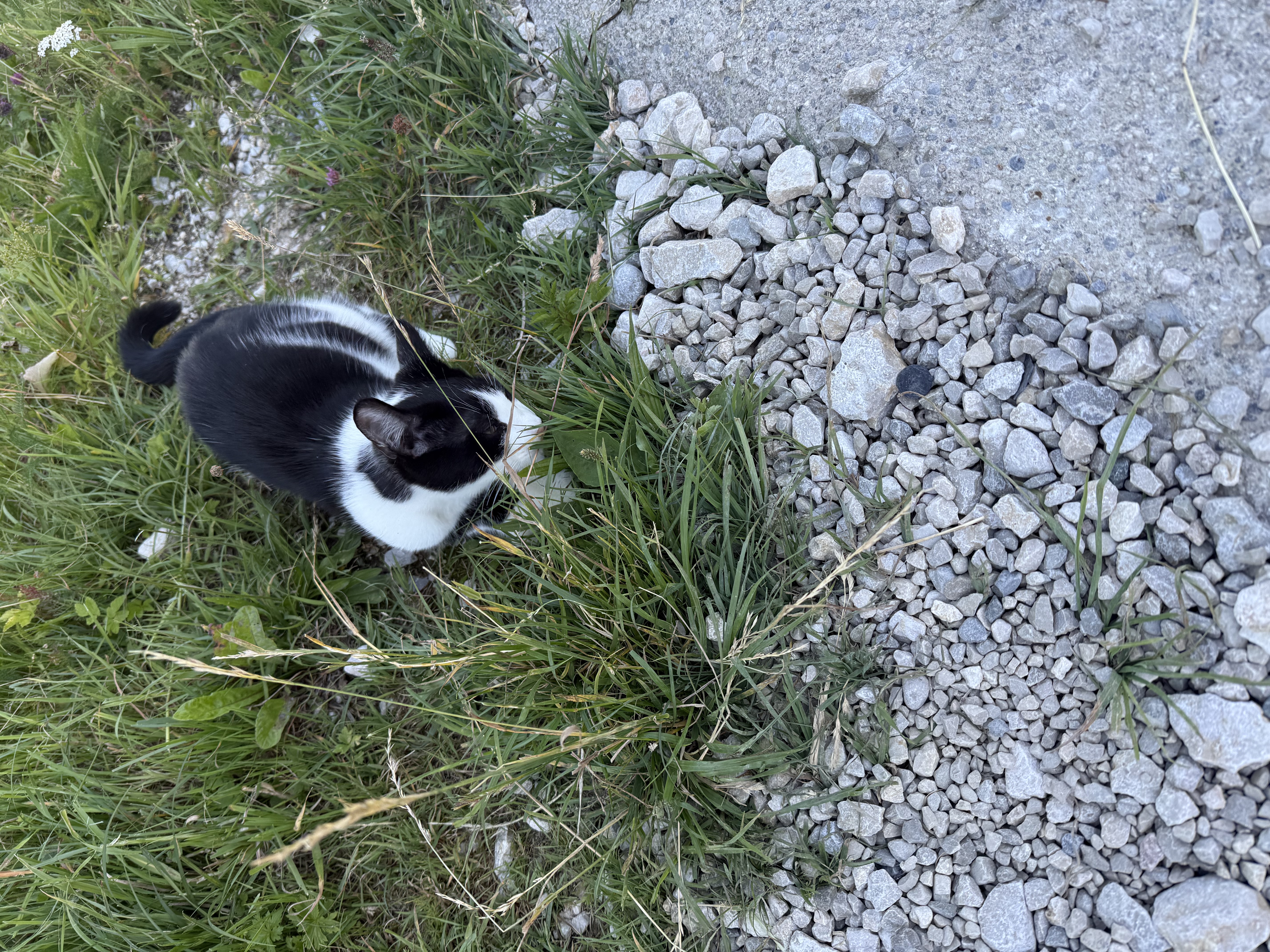 image-11
