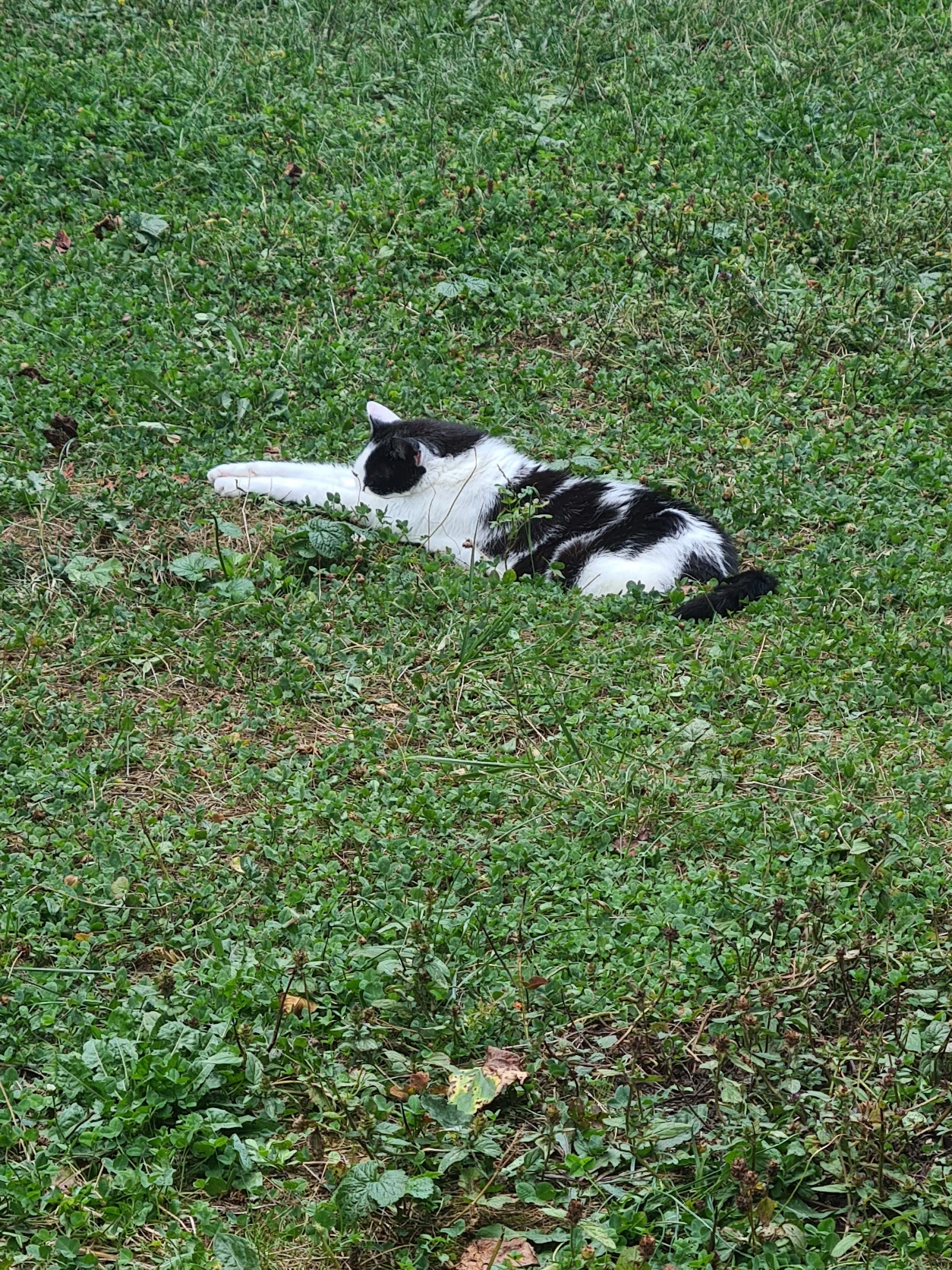 image-8
