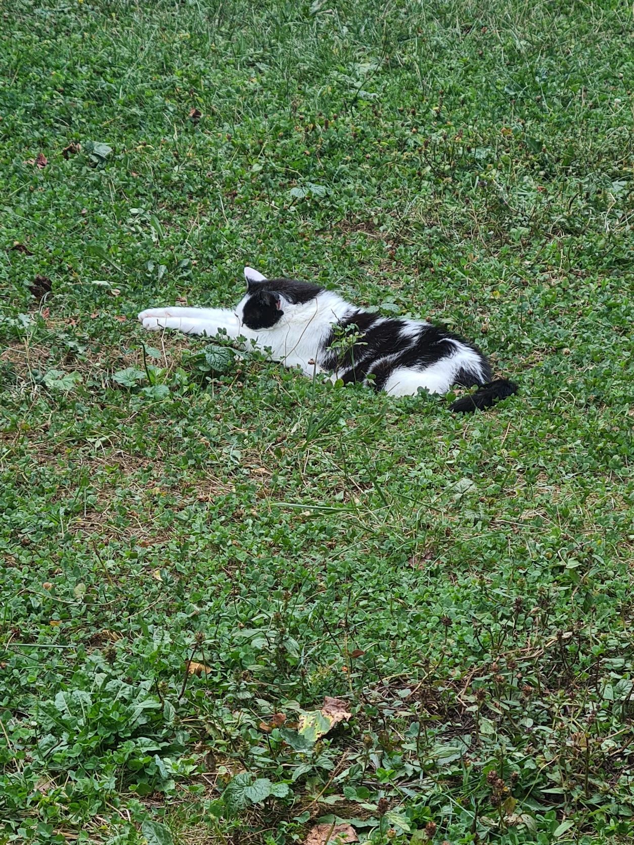 image-8